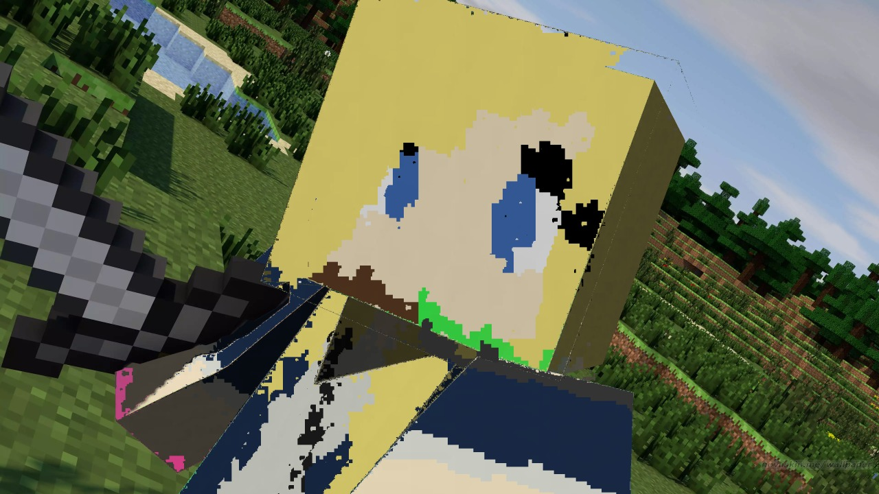 Selfie Minecraft - HD Wallpaper 