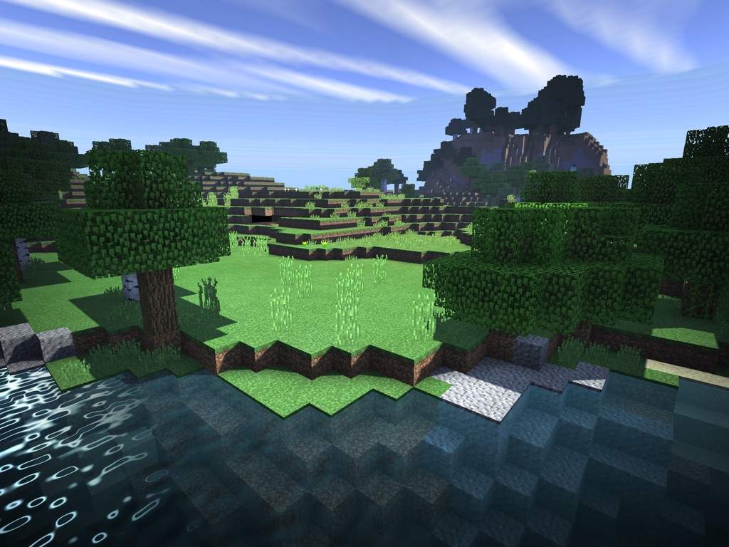 User Uploaded Image - Tree - HD Wallpaper 