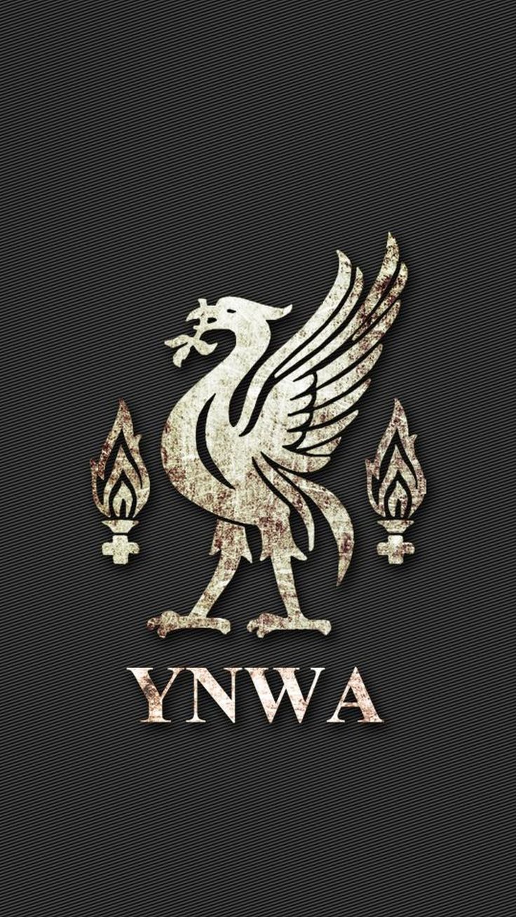 Liverpool Hd Wallpaper For Iphone - Liverpool Fc Screen Saver - HD Wallpaper 