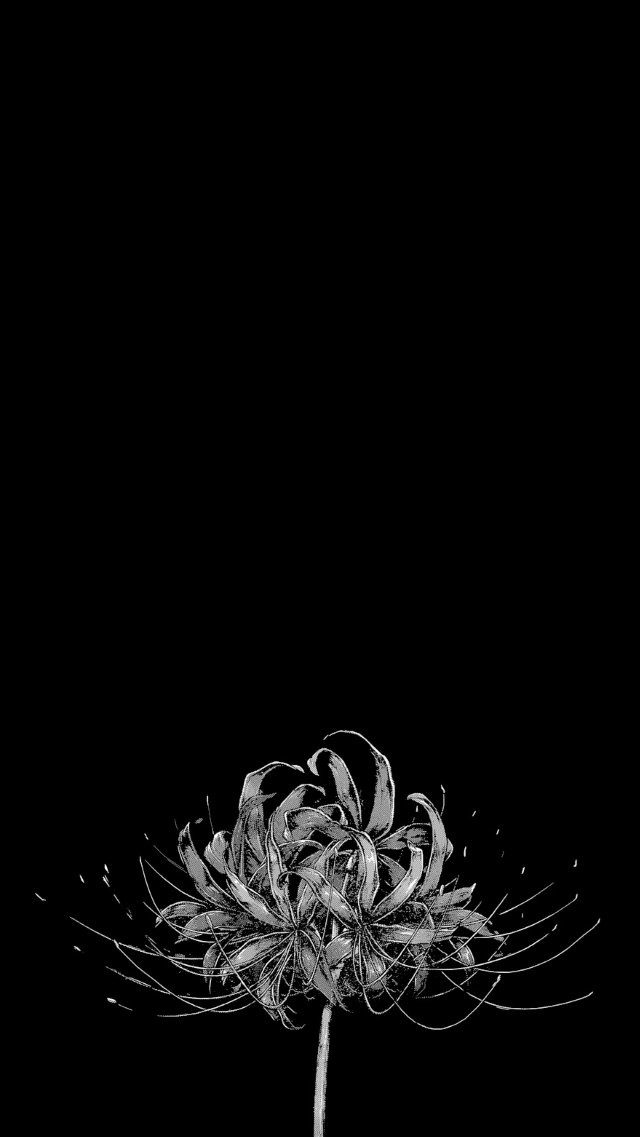 Red Spider Lily Tokyo Ghoul 640x1137 Wallpaper Teahub Io