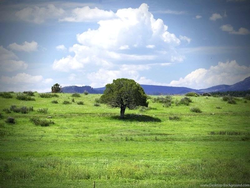 Samsung Galaxy J7 Wallpaper Hd Nature Wallpapers For - Grassland - HD Wallpaper 