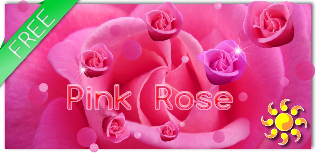 Pink Rose Live Wallpaper - Special Rose - HD Wallpaper 