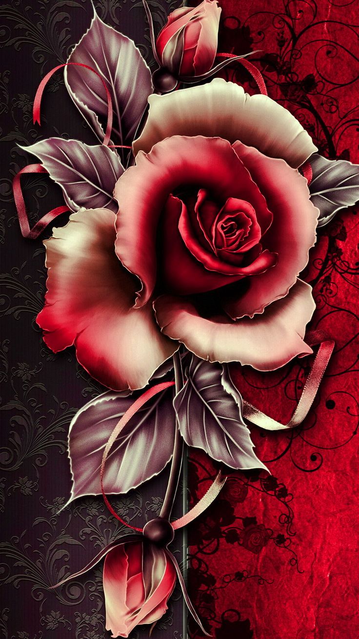 Red Rose Live Wallpaper Free Download - Flower Red Rose Rose Gold - HD Wallpaper 