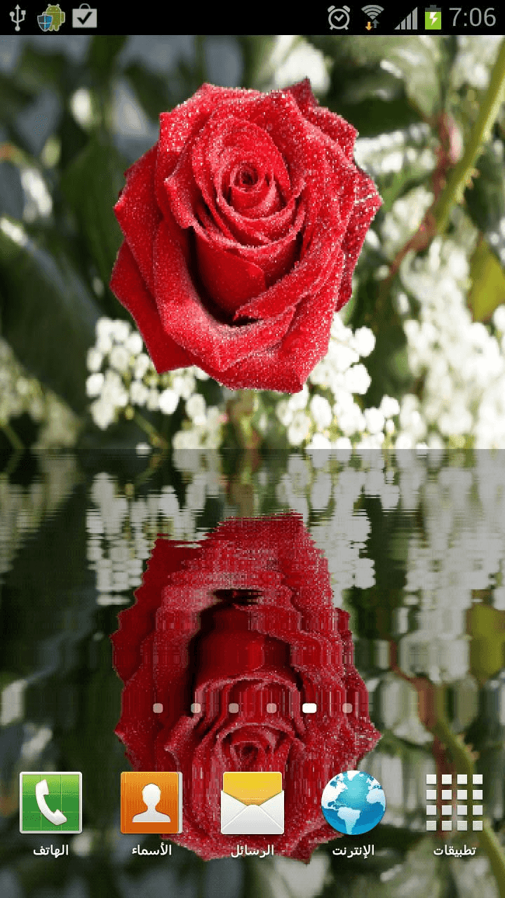 Water Rose Live Wallpaper - Red Roses - HD Wallpaper 