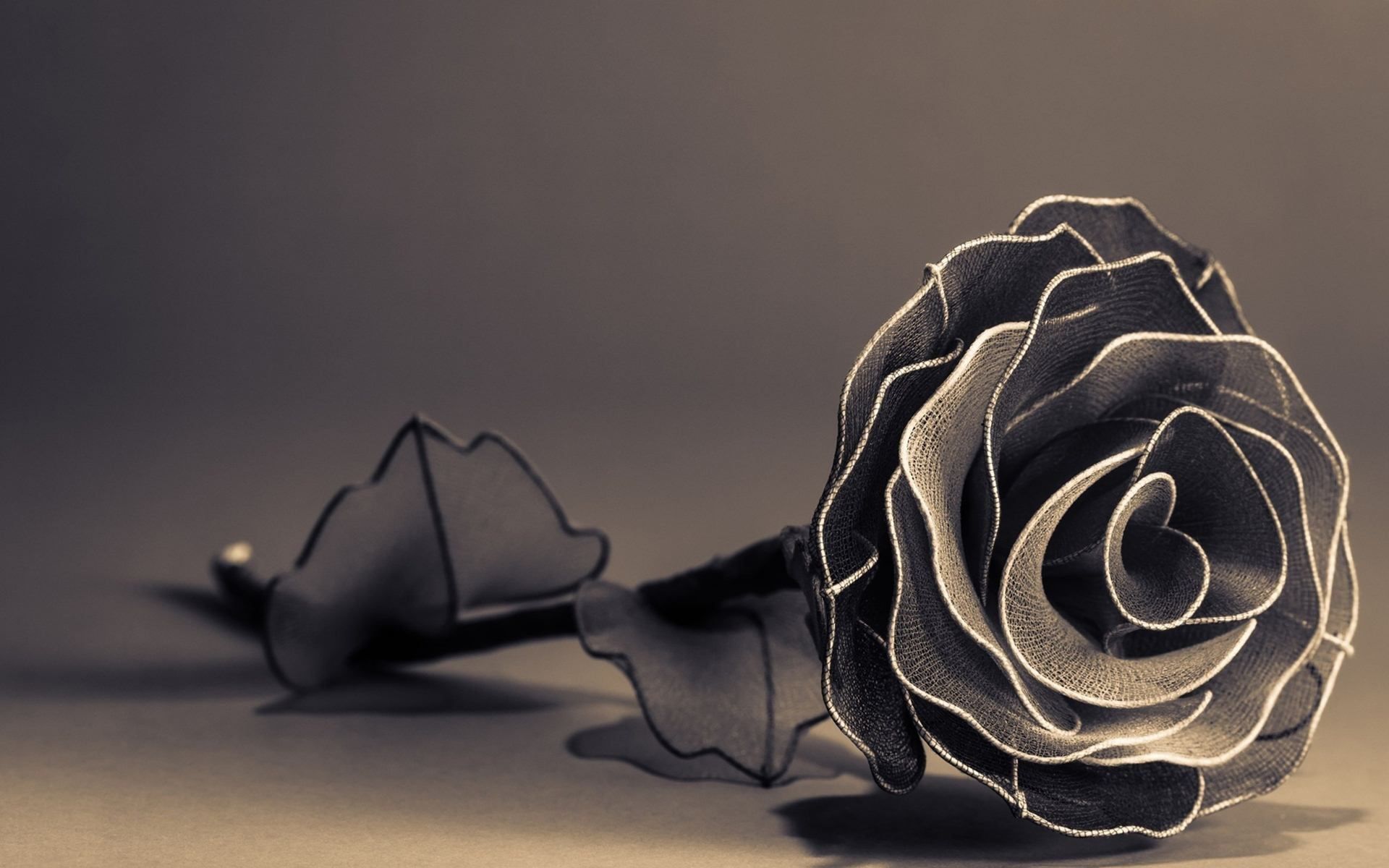 Black Rose Wallpaper Android - HD Wallpaper 