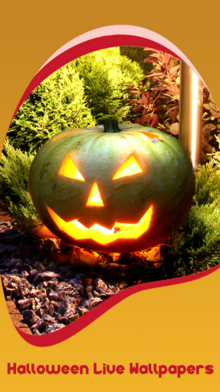 Halloween Live Wallpaper - HD Wallpaper 