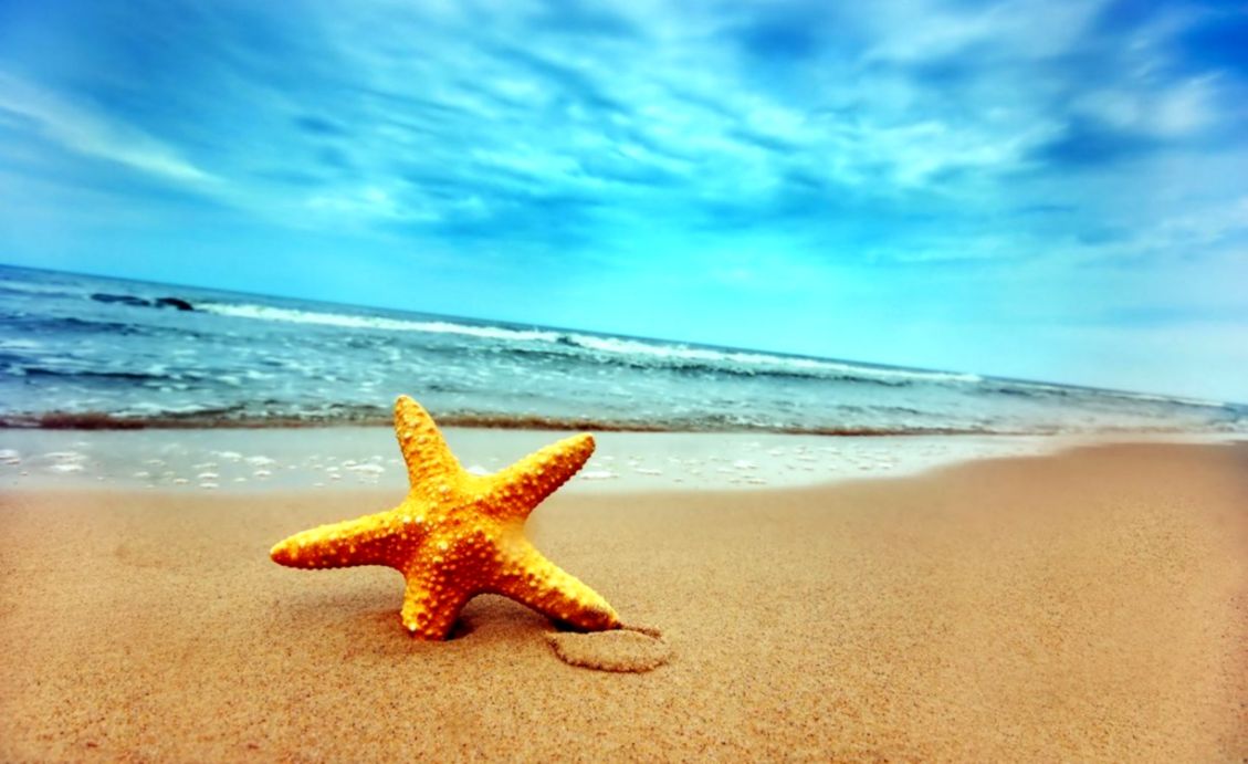 Summer Desktop Wallpaper Background Hd - Beach High Resolution Starfish - HD Wallpaper 