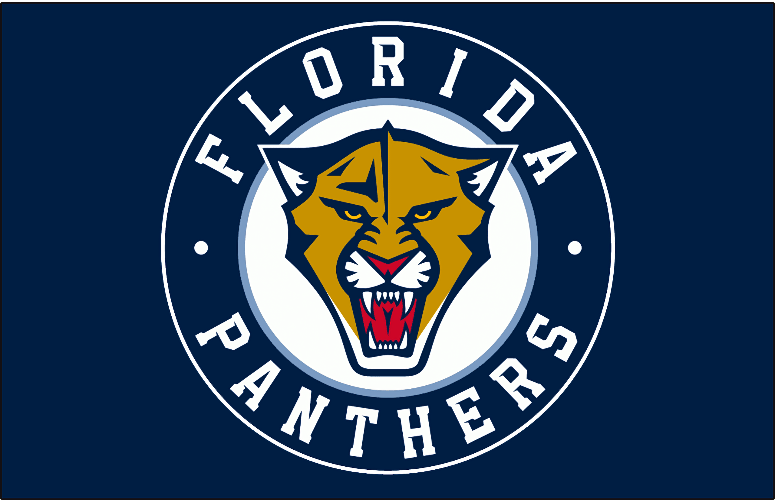 Blue Florida Panthers Jersey - HD Wallpaper 