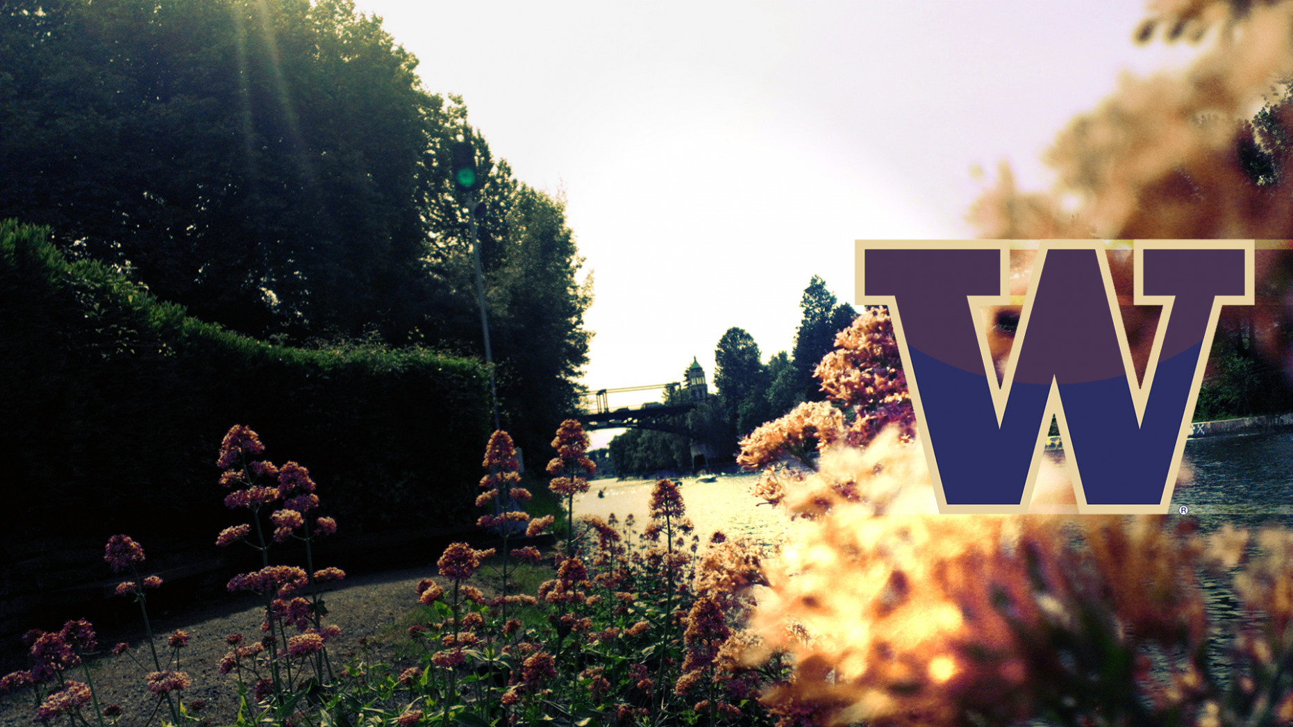 University Of Washington Wallpaper - University Of Washington Background - HD Wallpaper 