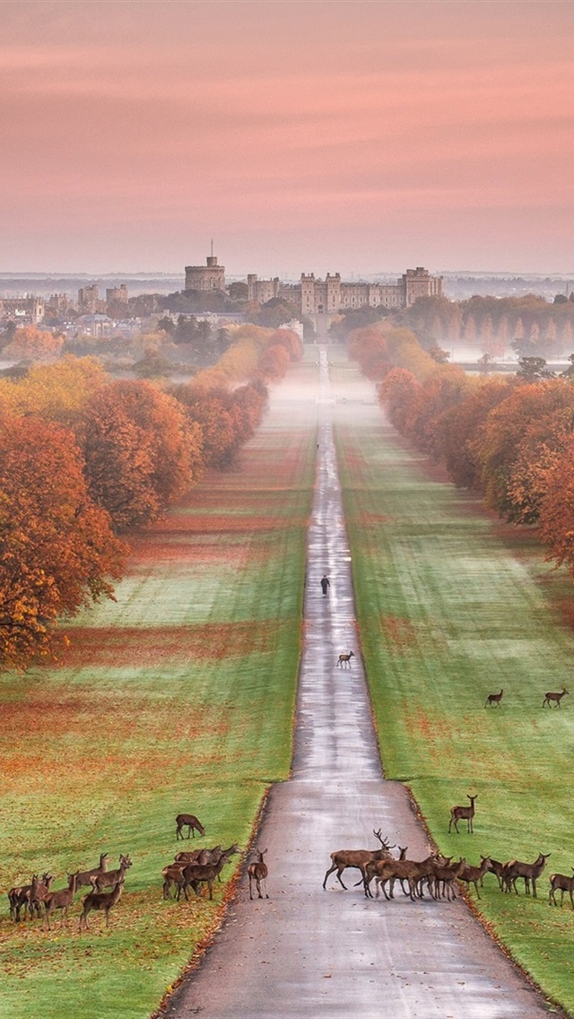 Windsor Castle With Deers - HD Wallpaper 
