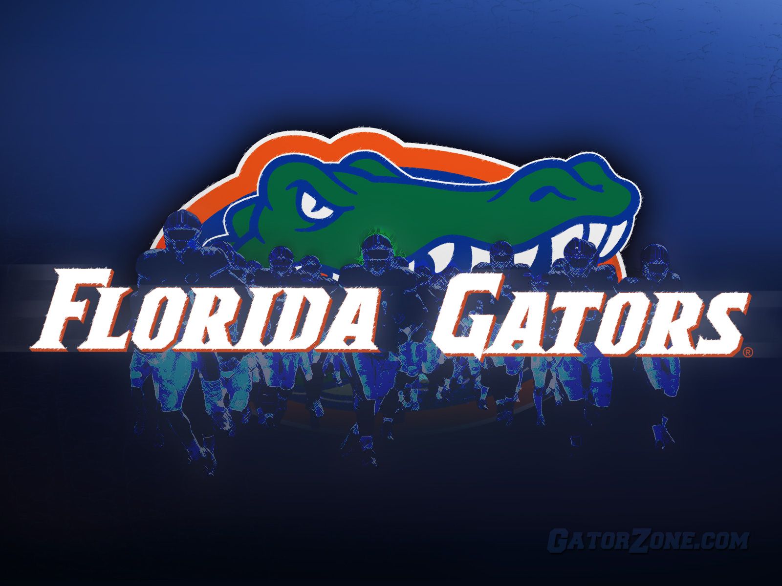 Florida Gators Softball Background - HD Wallpaper 