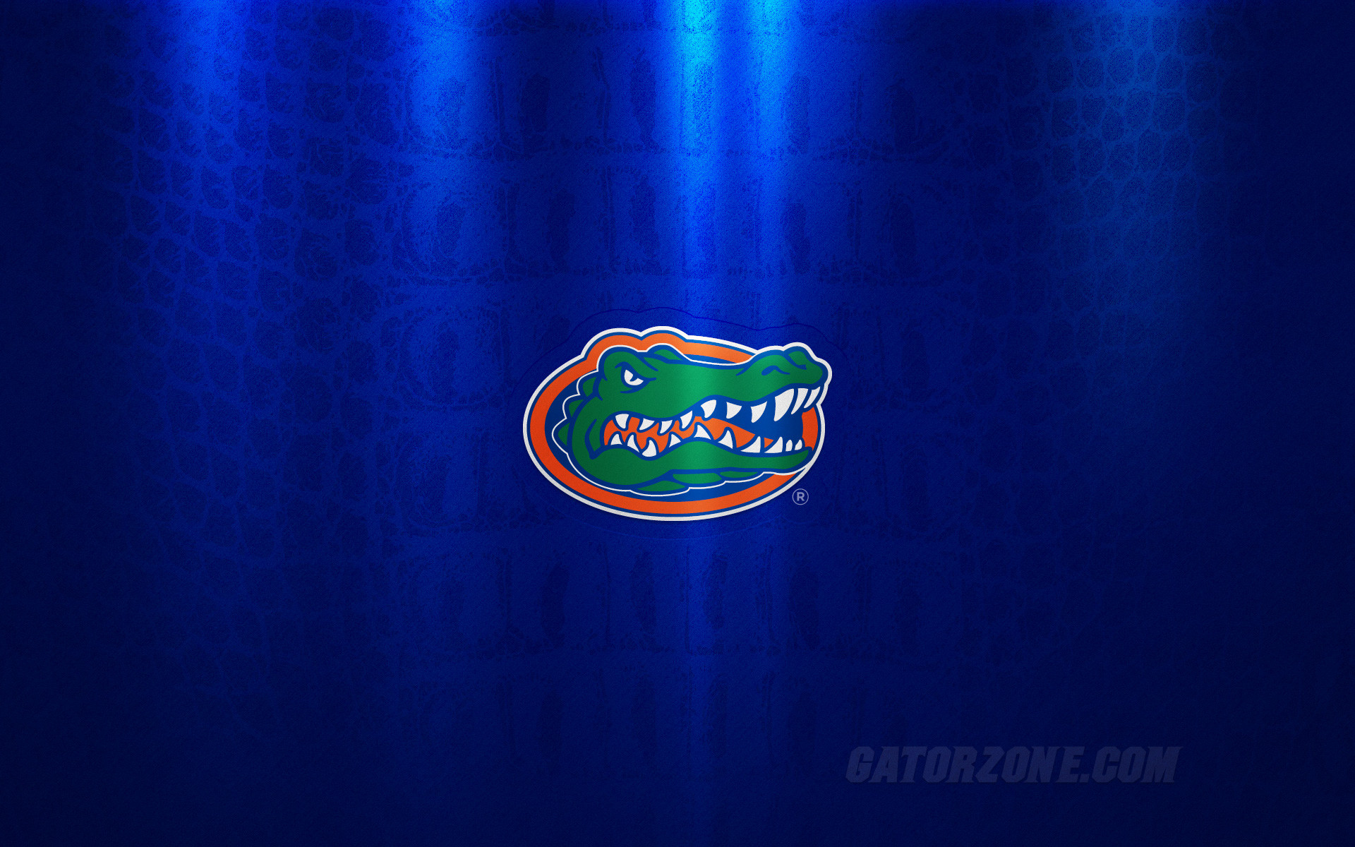 Free Download Amazing Florida Gators Football Images - Florida Gators Football Wallpaper Hd - HD Wallpaper 