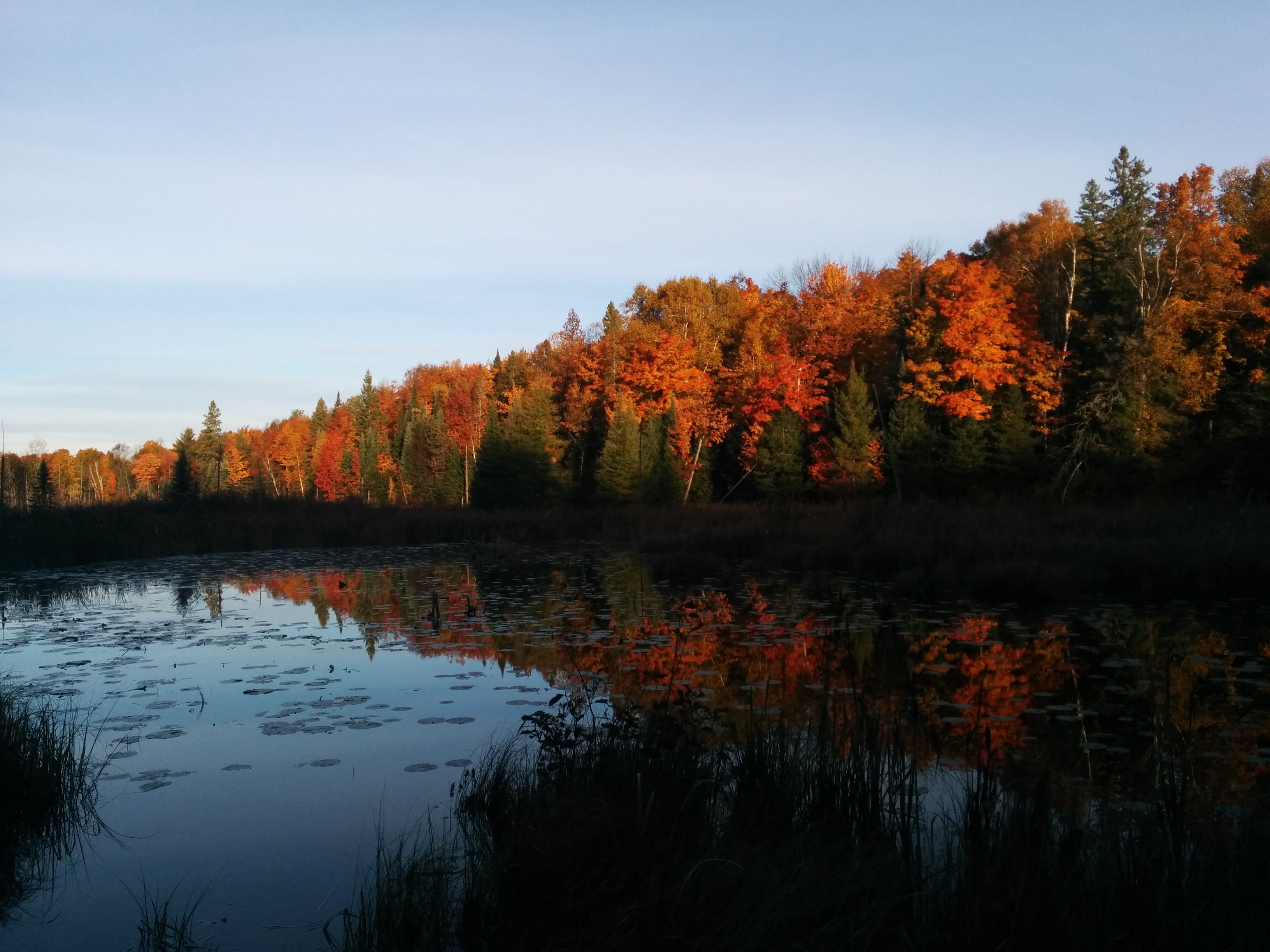 The North Woods Of Wisconsin This Morning Wallpaper - Reflection - HD Wallpaper 
