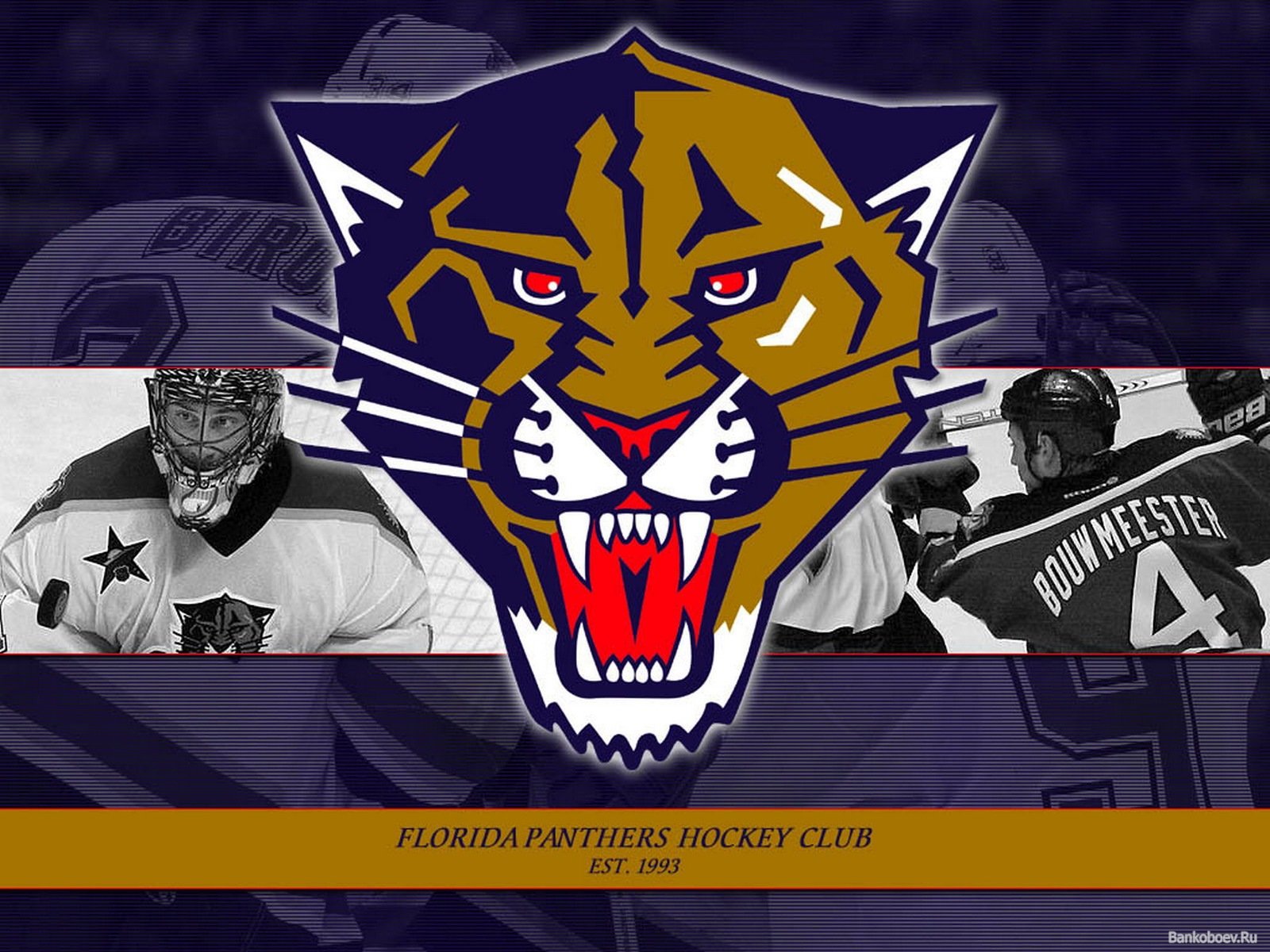 Florida Panthers Wallpapers Full Hd - HD Wallpaper 