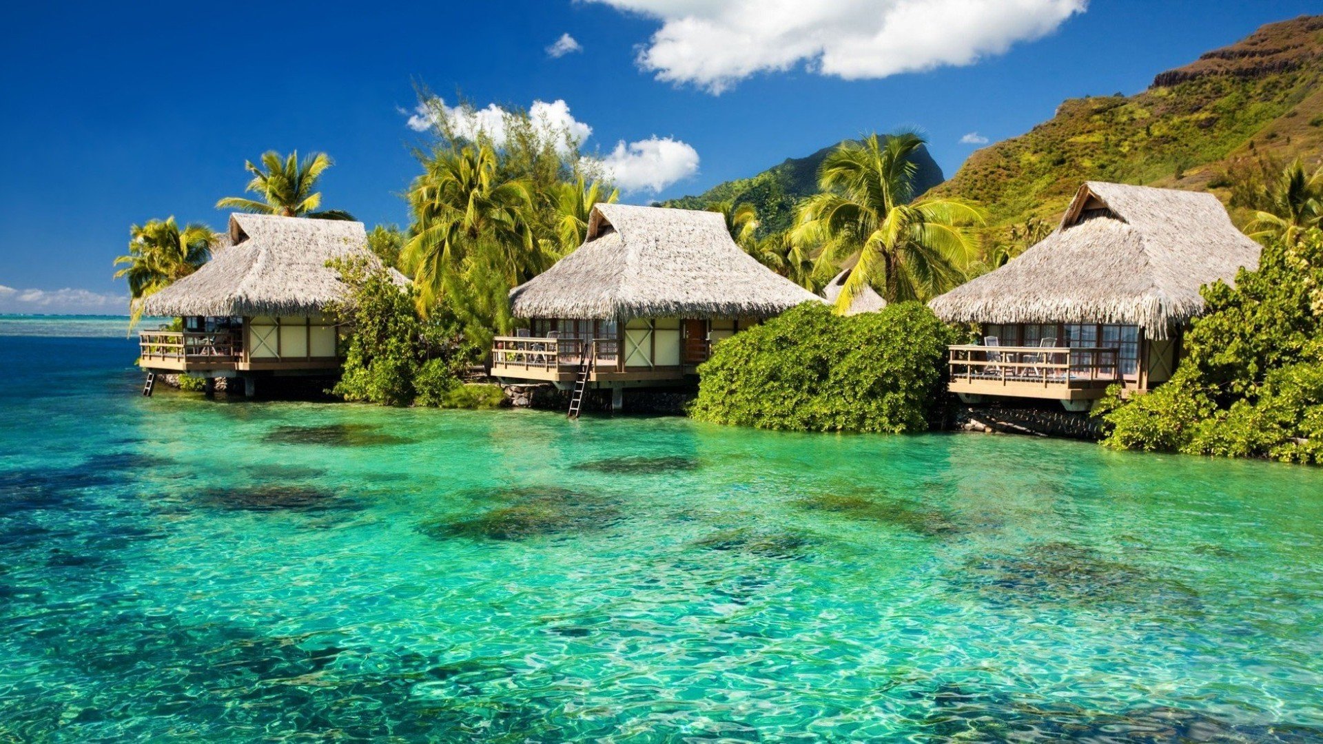 Download Hd Tropical Desktop Background Id - Tropical Island - HD Wallpaper 