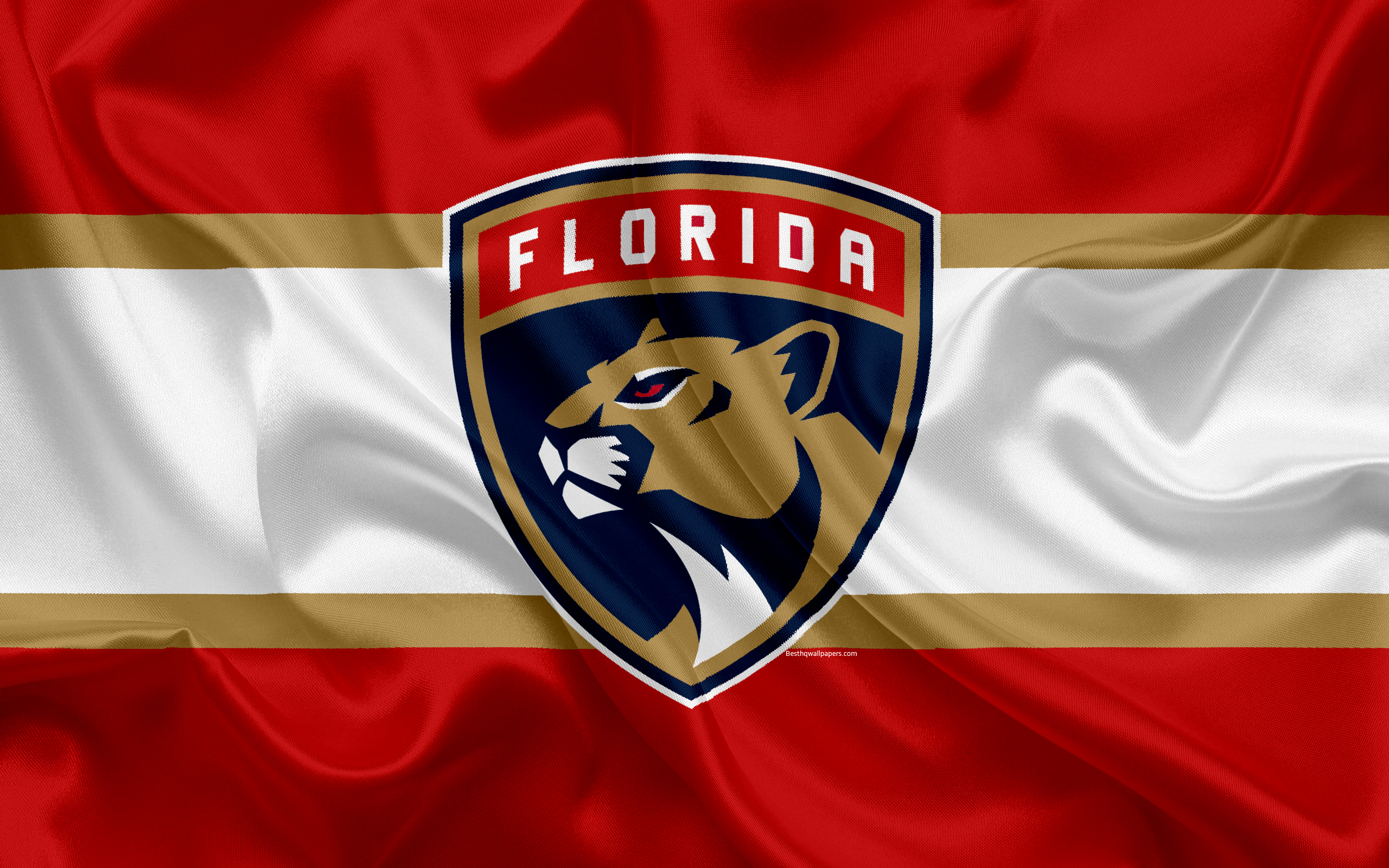 Florida Panthers Wallpaper Iphone - HD Wallpaper 