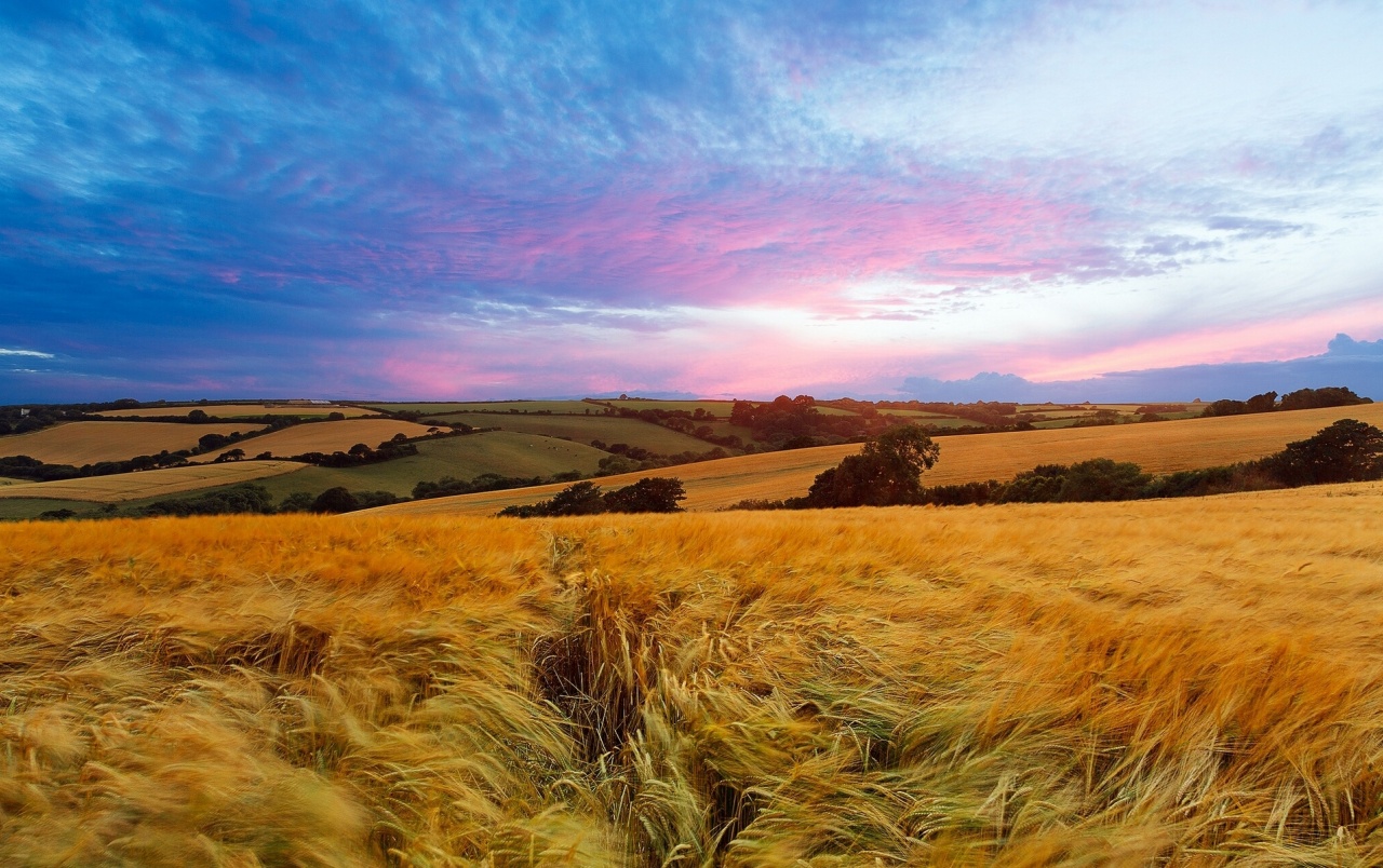 Sunset Field England Wallpapers - Landscape Field - HD Wallpaper 