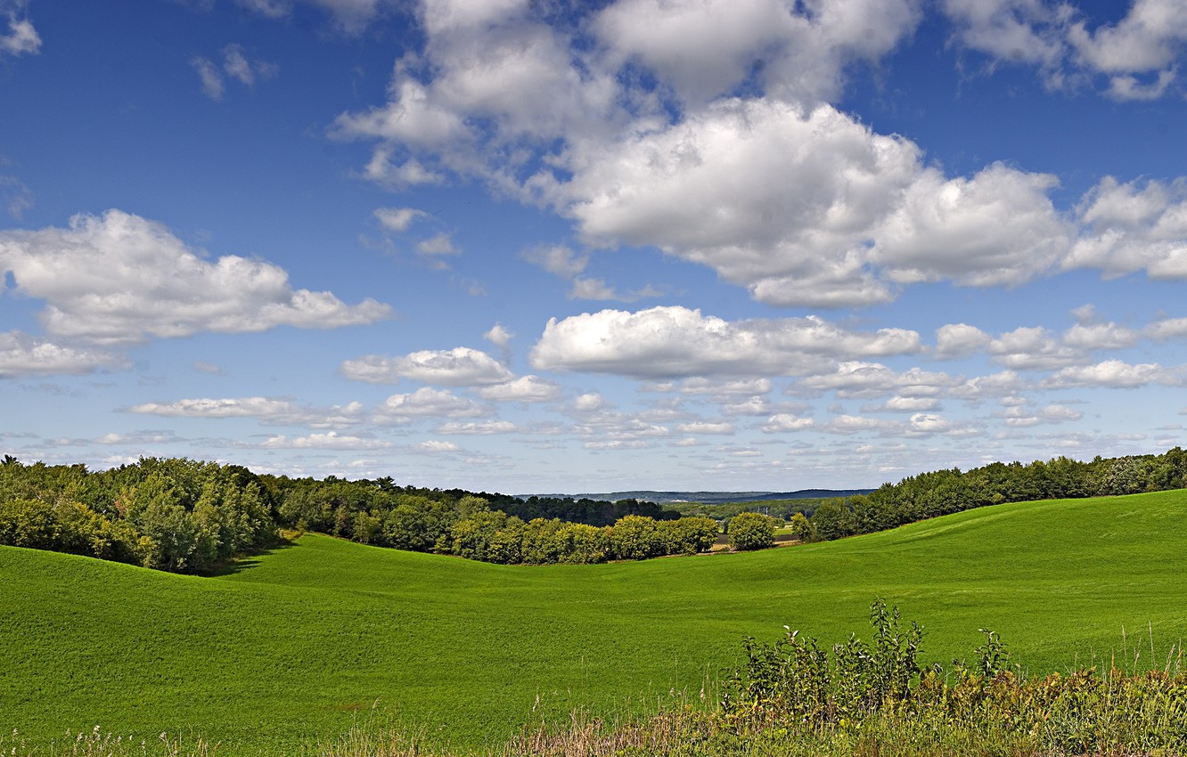 Photo Wallpaper Greens, Field, Summer, The Sky, Grass, - Americinn Sleepy Eye Mn - HD Wallpaper 