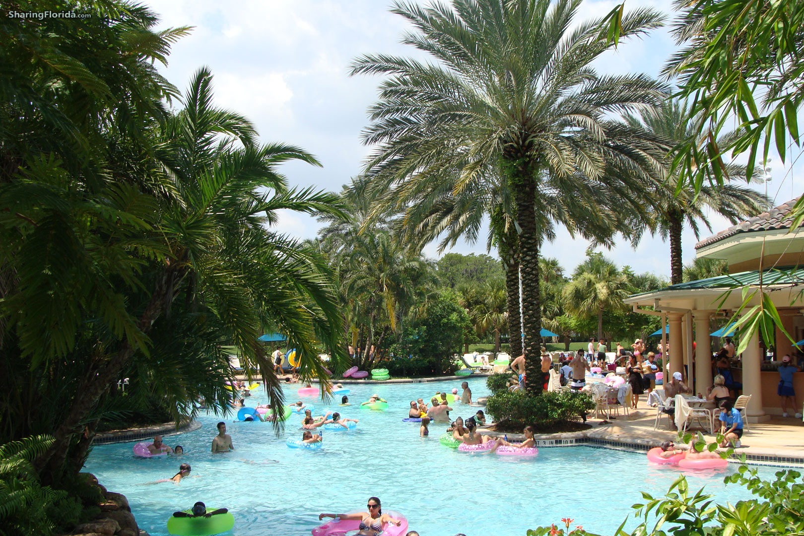 Orlando Florida Pictures Palm Trees - 1620x1080 Wallpaper - teahub.io