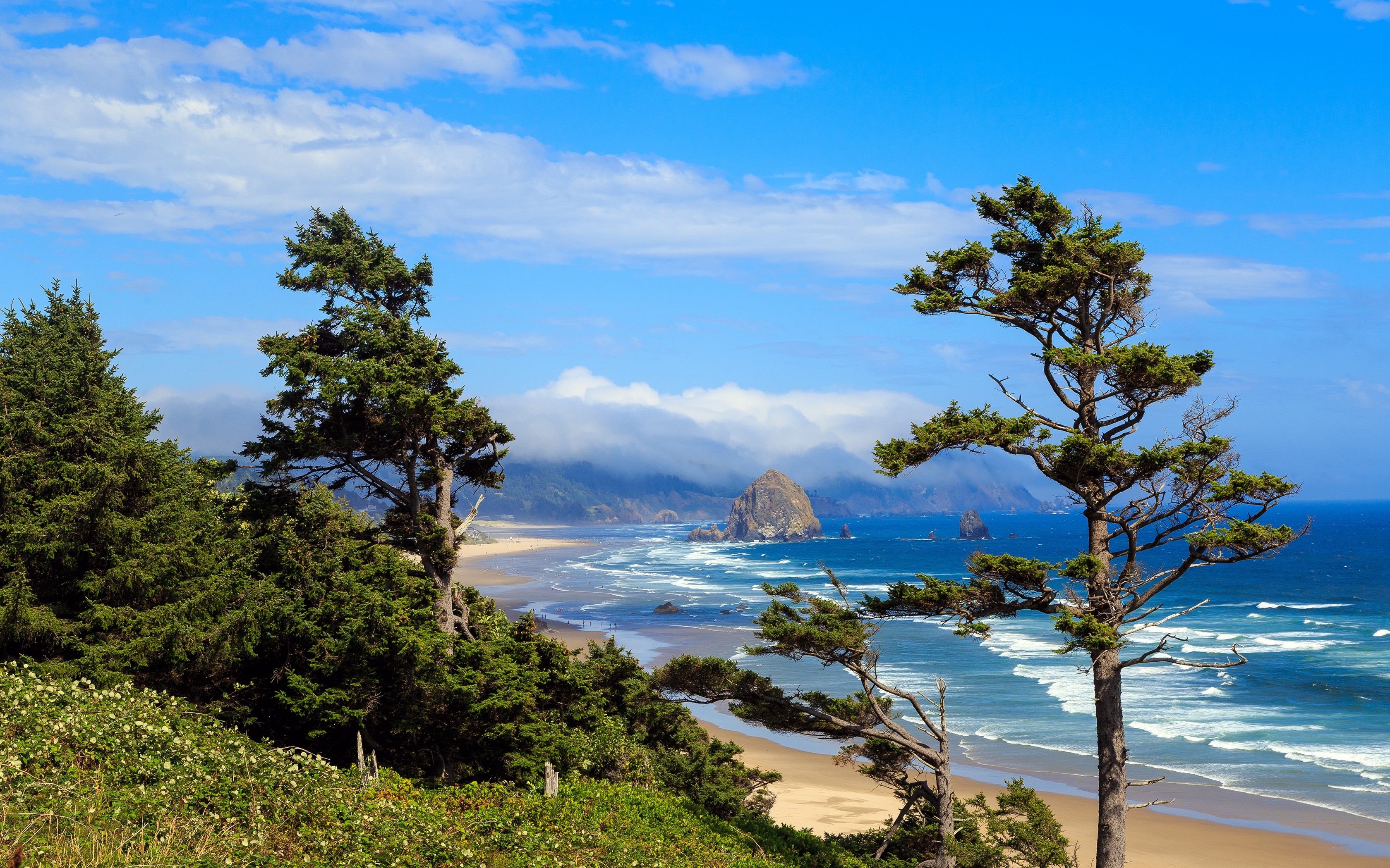 Oregon Landscape Beach 3360x2100 Wallpaper Teahub Io