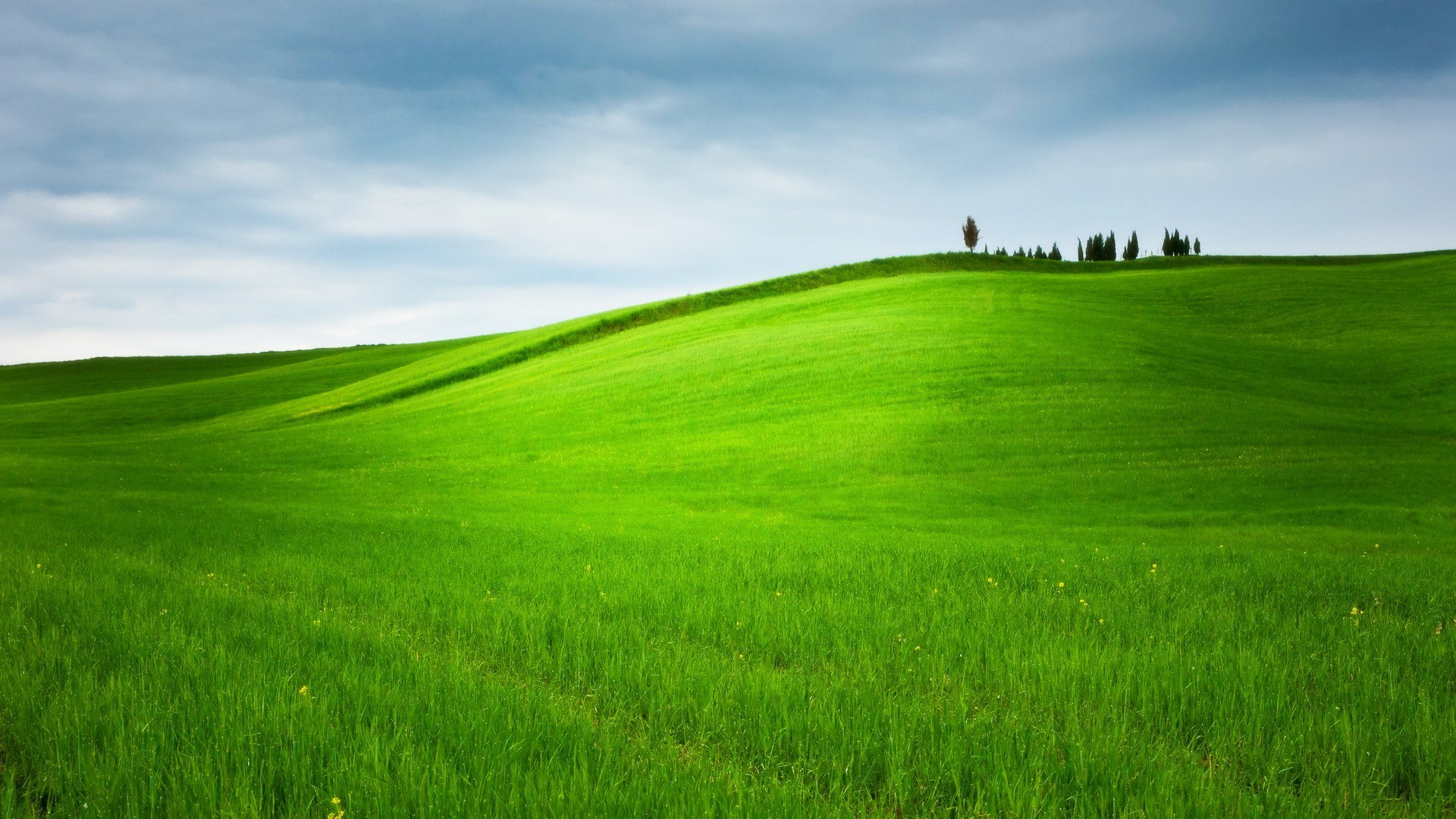 Nature Green Grass Background Hd - HD Wallpaper 