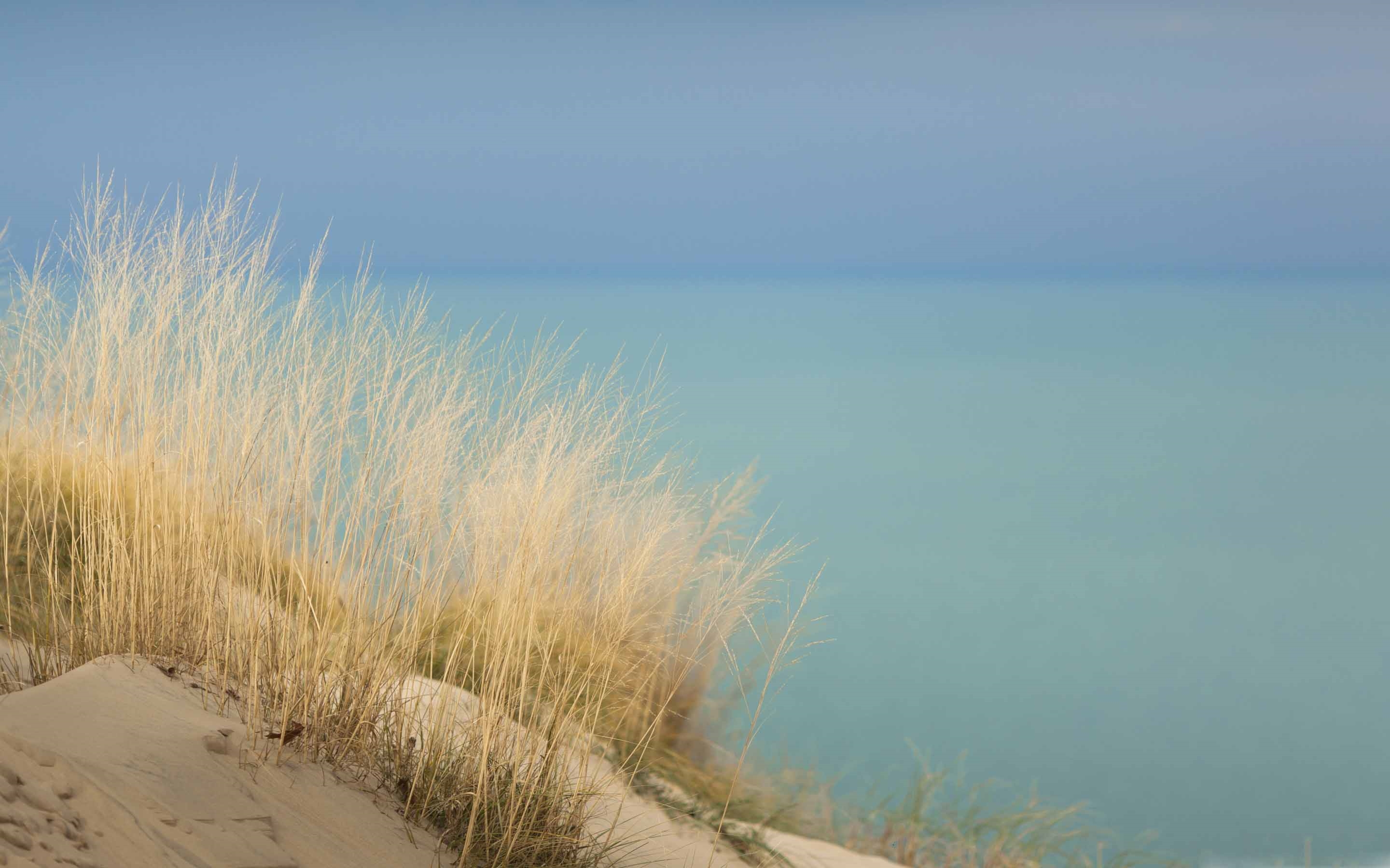 Microsoft Surface - HD Wallpaper 