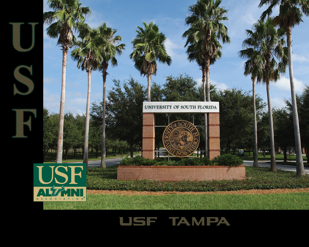 University Of South Florida Beautiful Campus - HD Wallpaper 