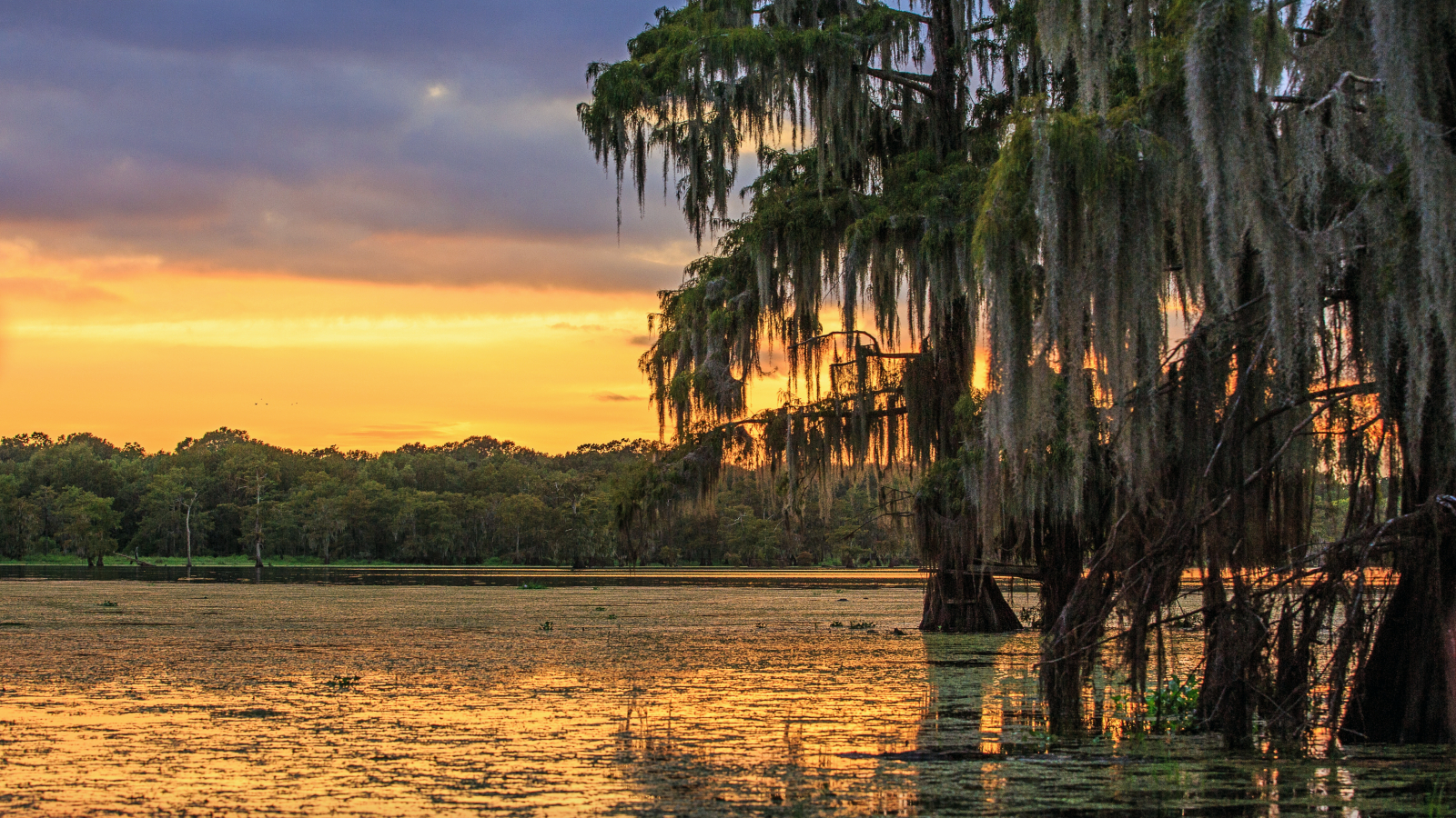 Bayou In Sunset Louisiana - HD Wallpaper 