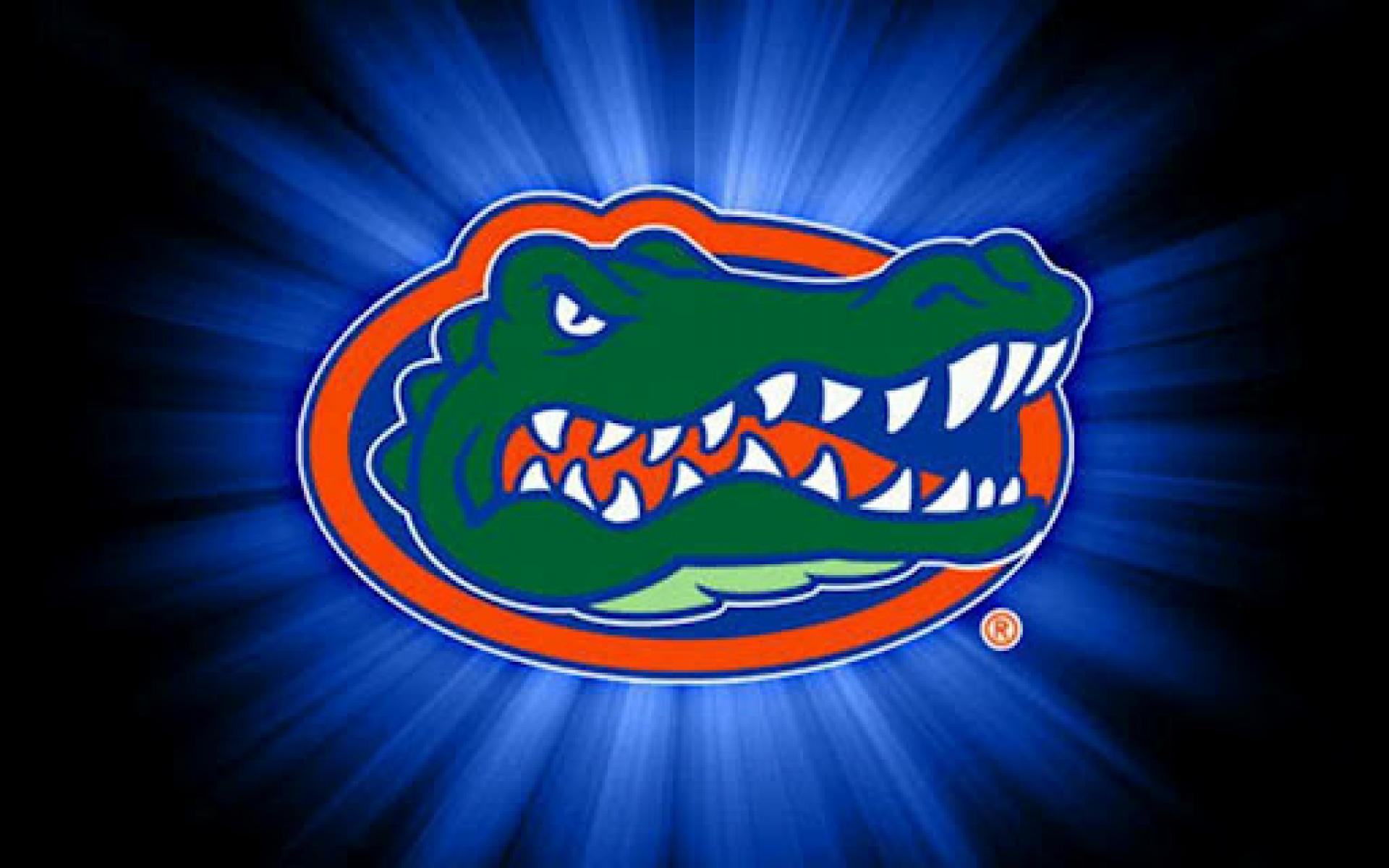 Gator Wallpaper - HD Wallpaper 
