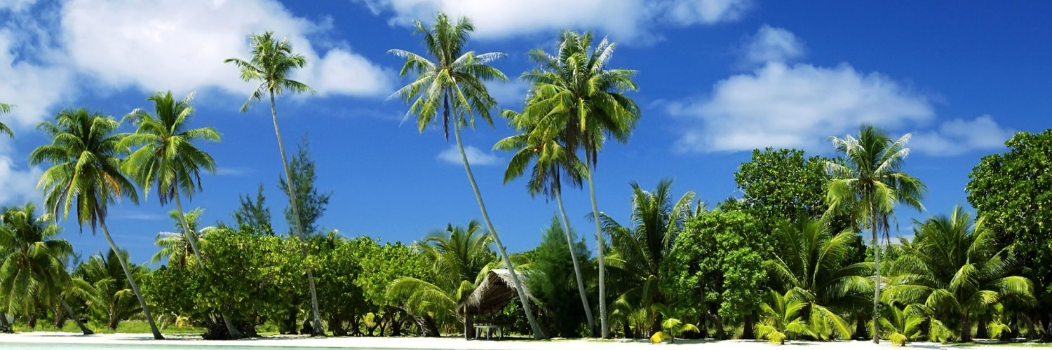 Tropical Paradise - HD Wallpaper 