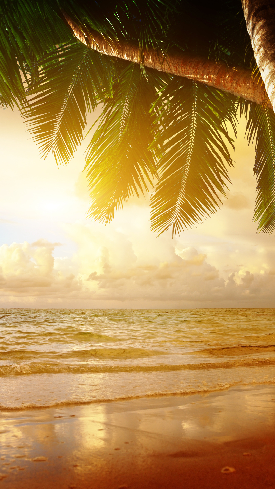 Sea, Palm, Ocean, Tropical, Sunset, Summer, Beach, - High Resolution Summer Desktop Backgrounds - HD Wallpaper 