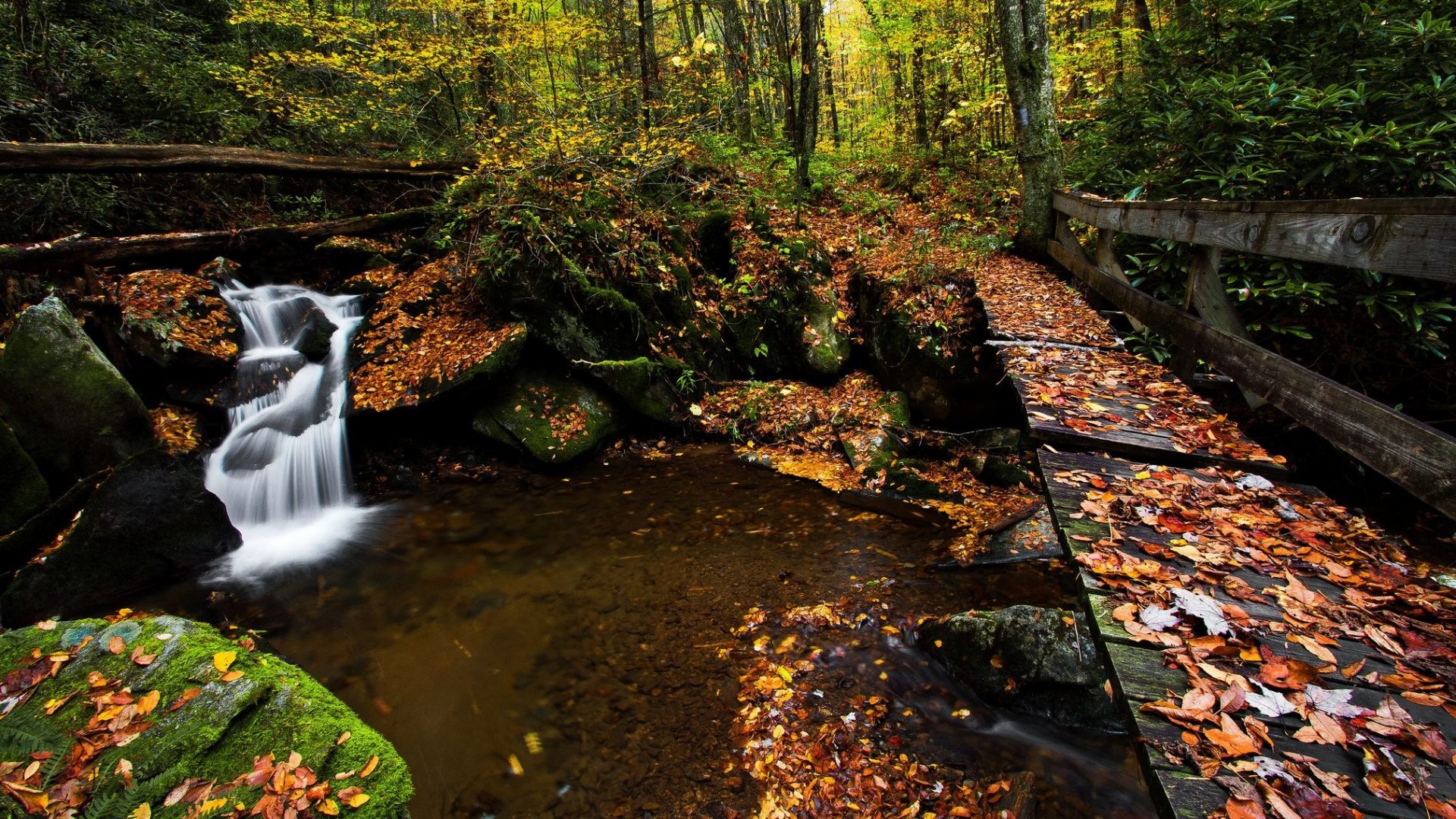 North Carolina Wallpaper Waterfalls - HD Wallpaper 