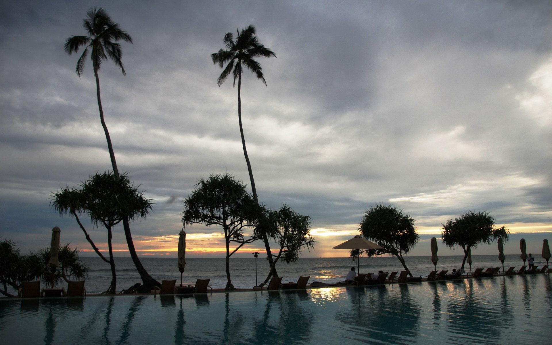 Free Palm Tree High Quality Wallpaper Id - Wallpaper - HD Wallpaper 