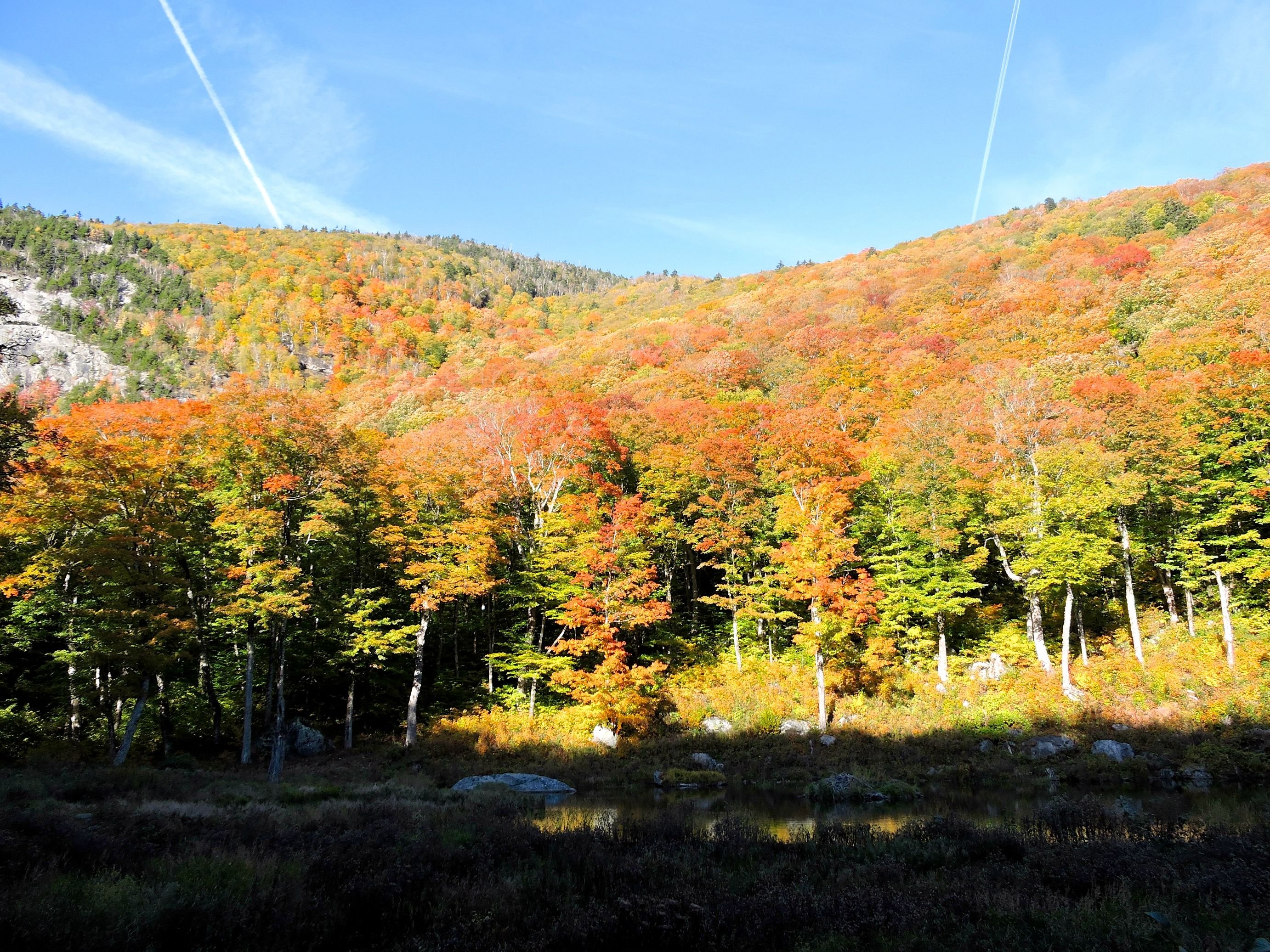 Colorful Treetops At Nebraska Notch Vermont Wallpaper - Autumn - HD Wallpaper 