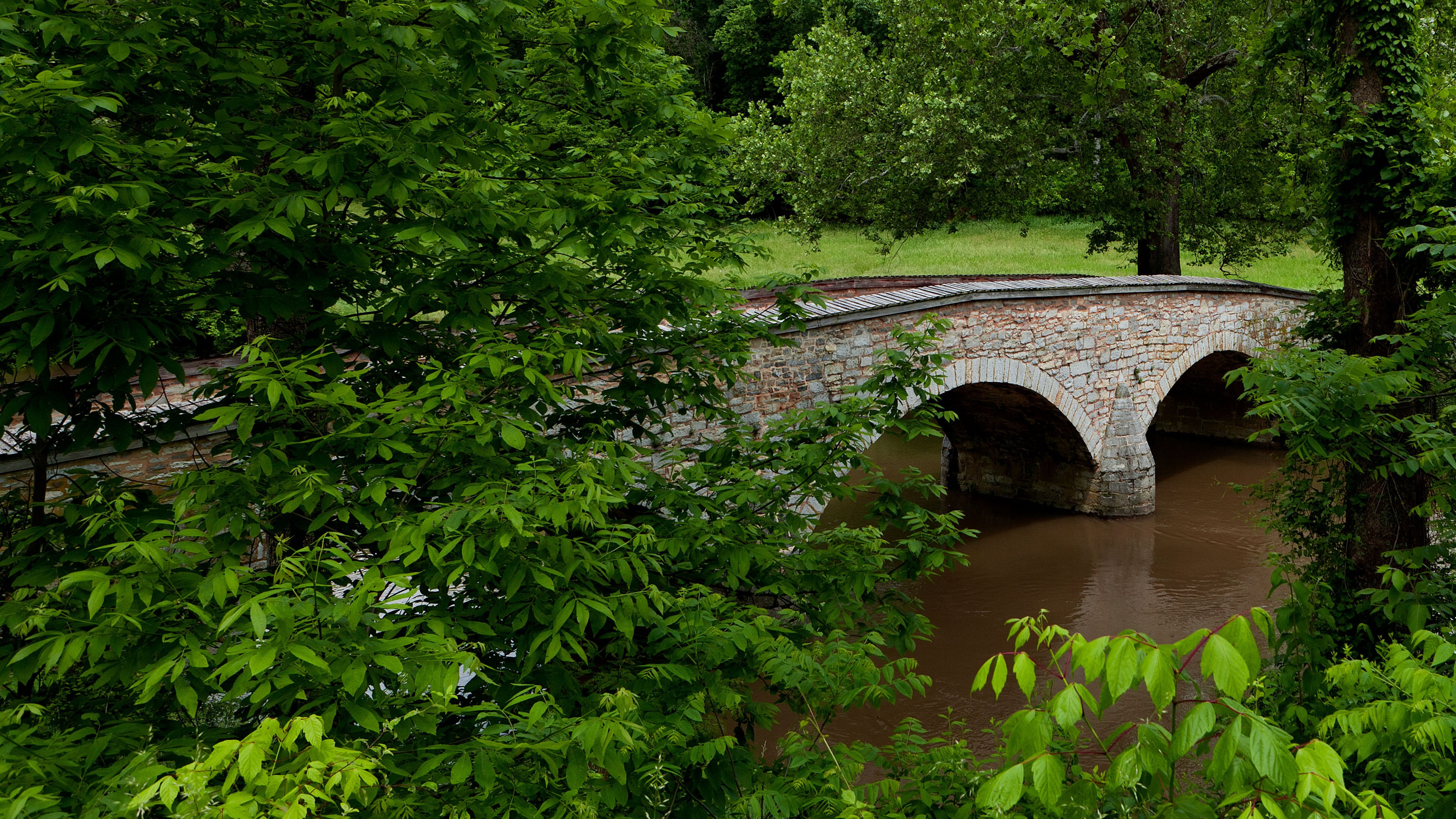 Wallpaper Usa, Maryland, Trees, River, Bridge, Green - Tree - HD Wallpaper 