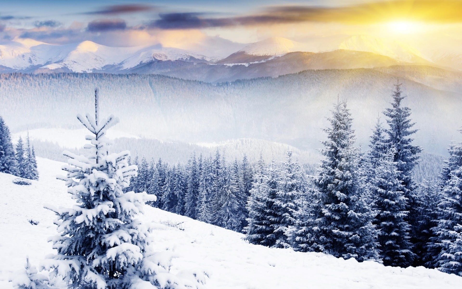 Winter Scenes Desktop Wallpaper - Winter Scene Desktop Backgrounds - HD Wallpaper 