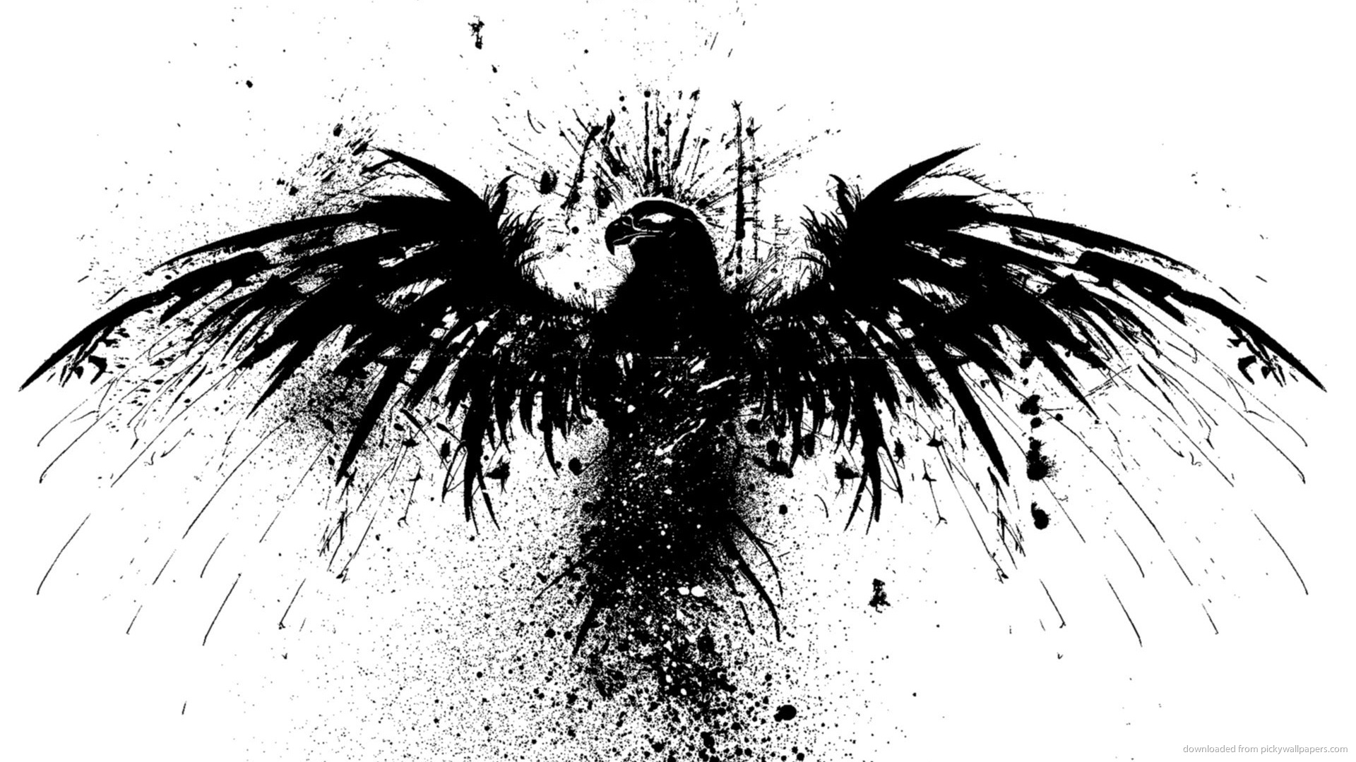 Black Eagle Desktop Wallpaper - HD Wallpaper 