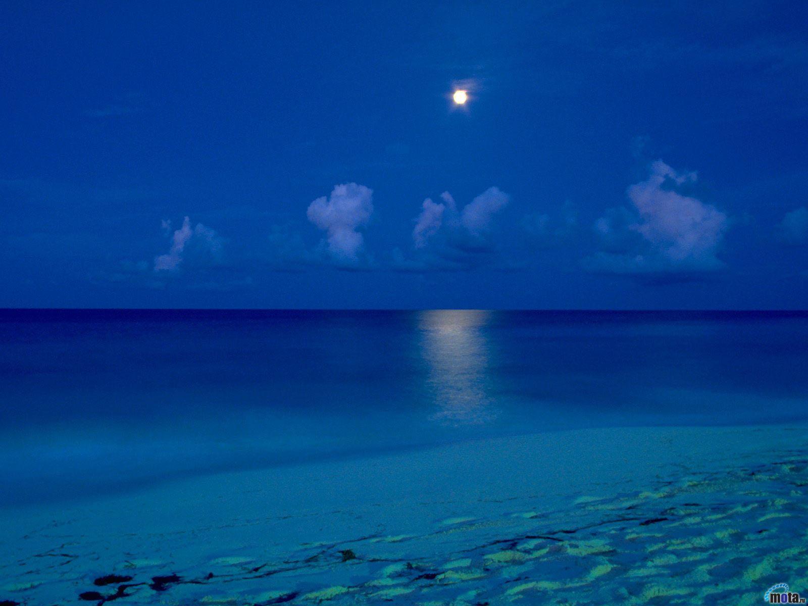 Download Free Beach At Night Background - Cancun Beach At Night - HD Wallpaper 