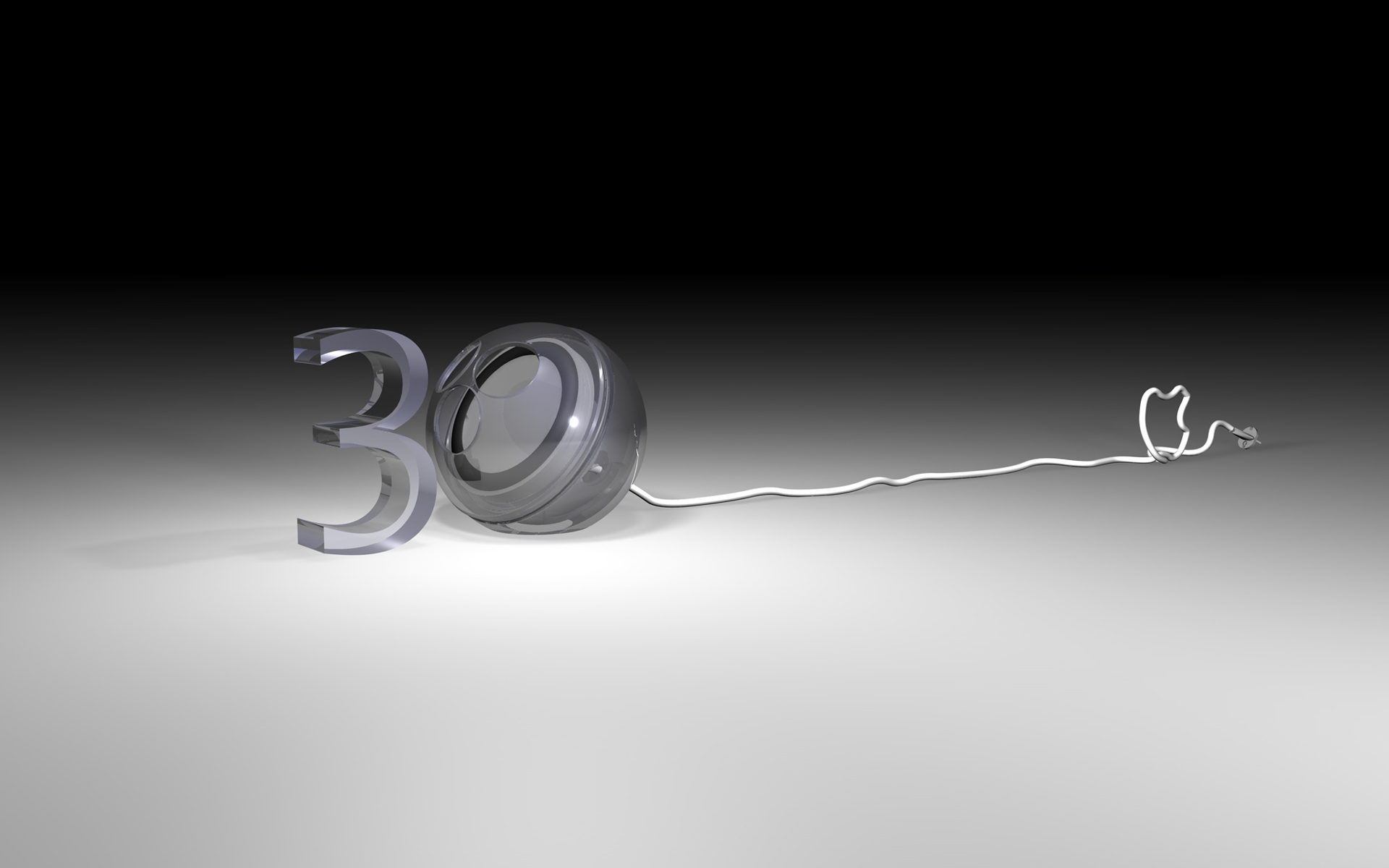 Macro Photography - HD Wallpaper 