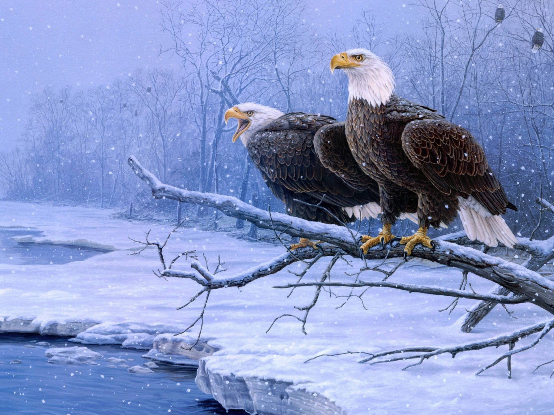Eagle In The Winter - HD Wallpaper 