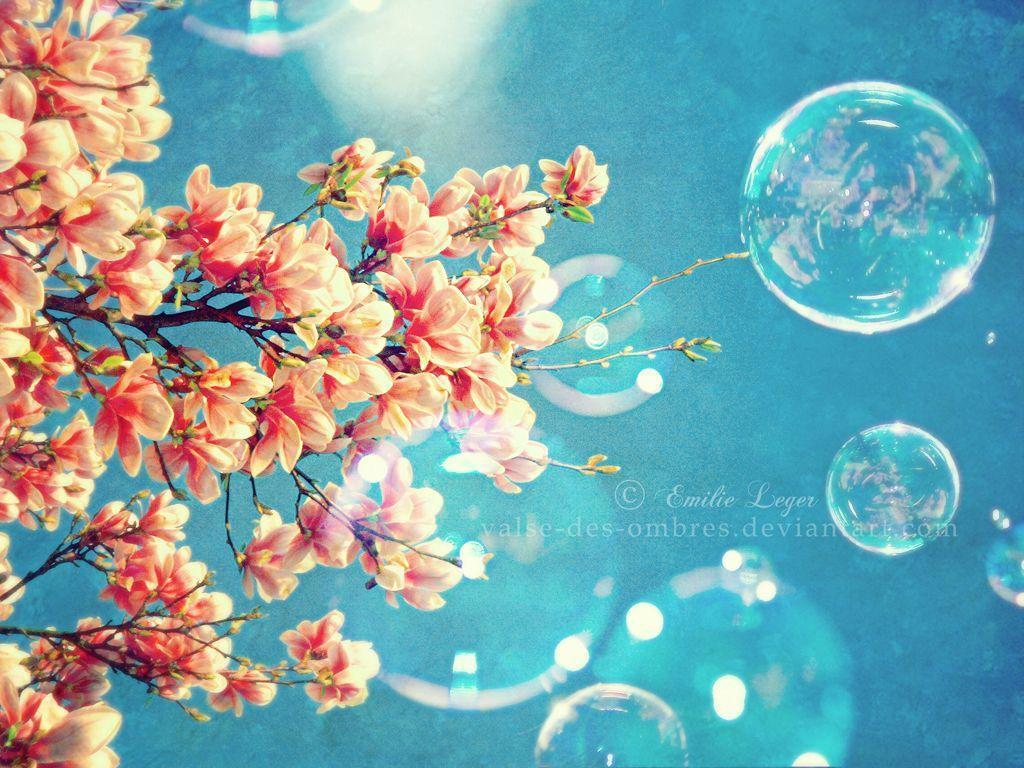 Spring Wallpapers Download Group - Cute Spring Wallpaper Backgrounds - HD Wallpaper 