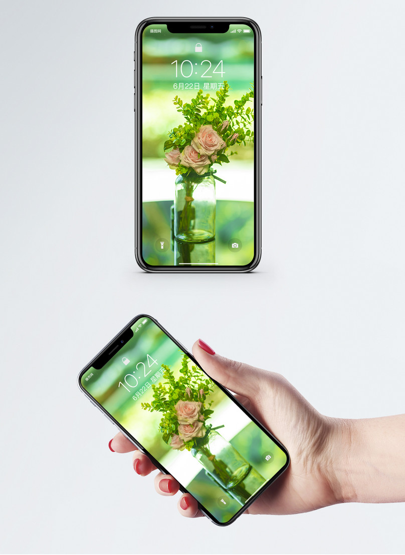 Wallpaper Wallpaper Ponsel Masih Hidup - Tapeta Na Telefon Kreskówki - HD Wallpaper 