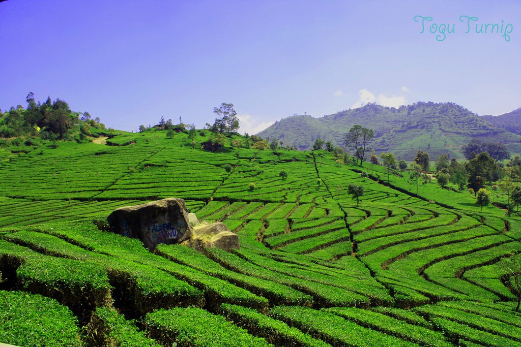 Pemandangan Alam Indah Di Indonesia - HD Wallpaper 