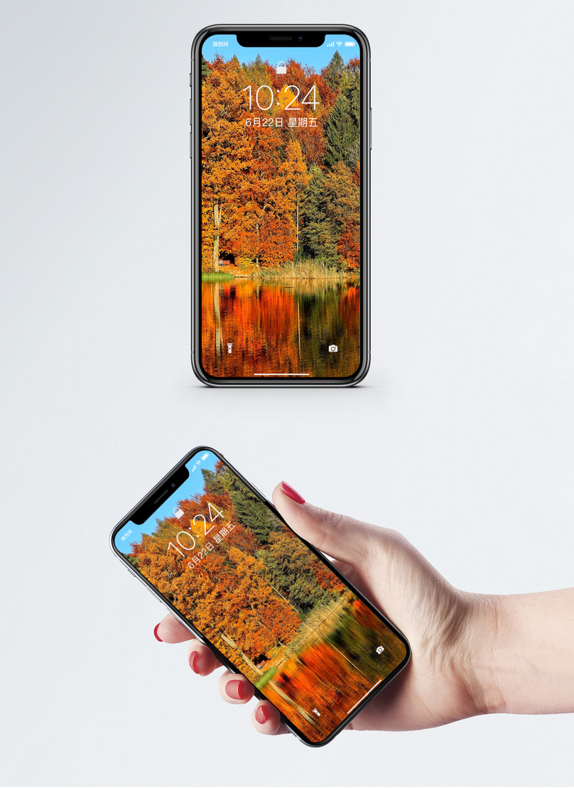 Wallpaper Bergerak Woods Musim Luruh - Ảnh Tiền Hình Nền Điện Thoại - HD Wallpaper 