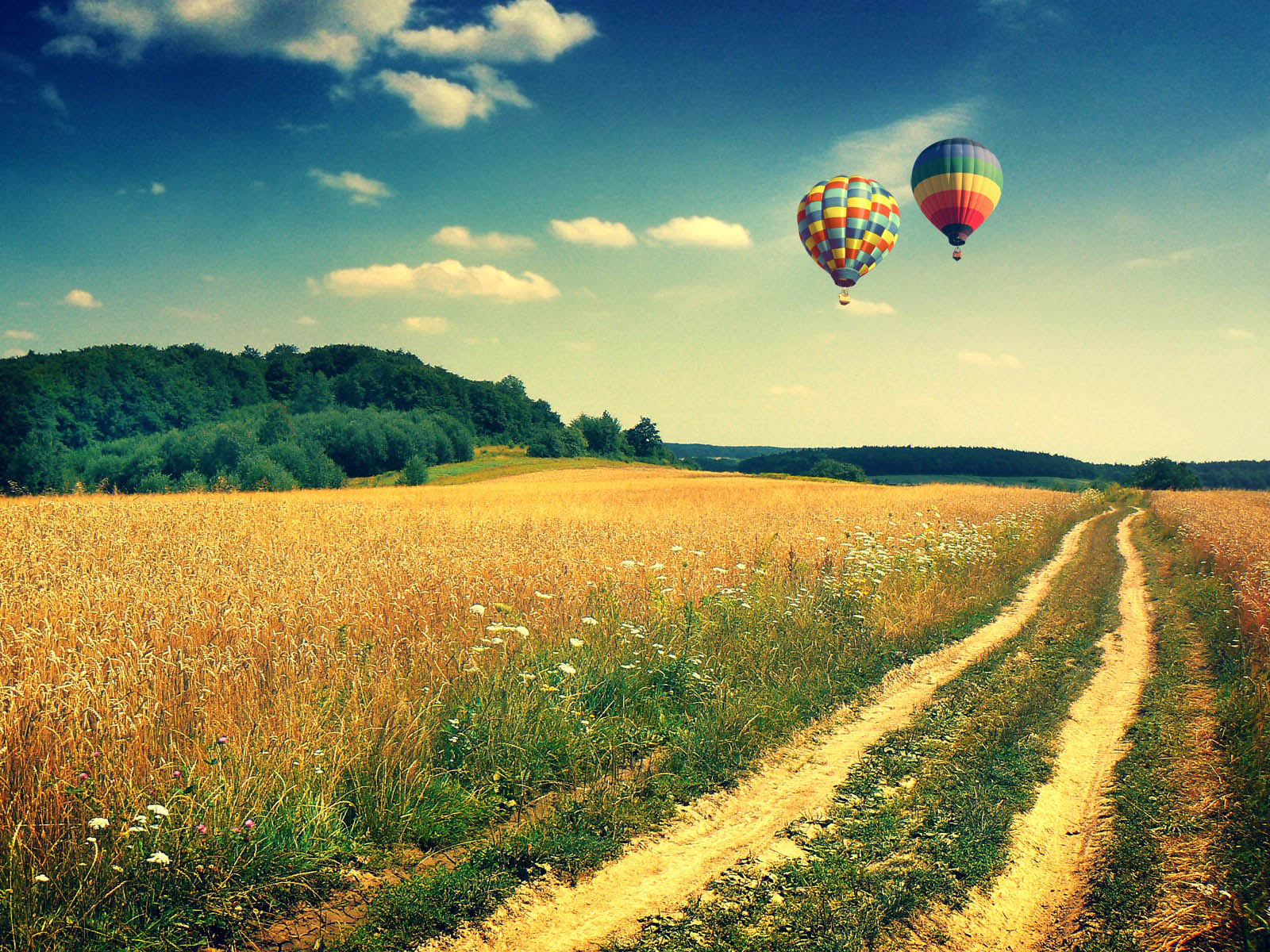 Gambar Balon Udara - Hot Air Balloon Background - HD Wallpaper 