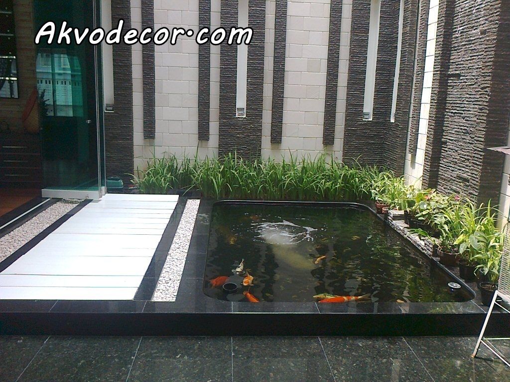 Kolam Aquascape - HD Wallpaper 