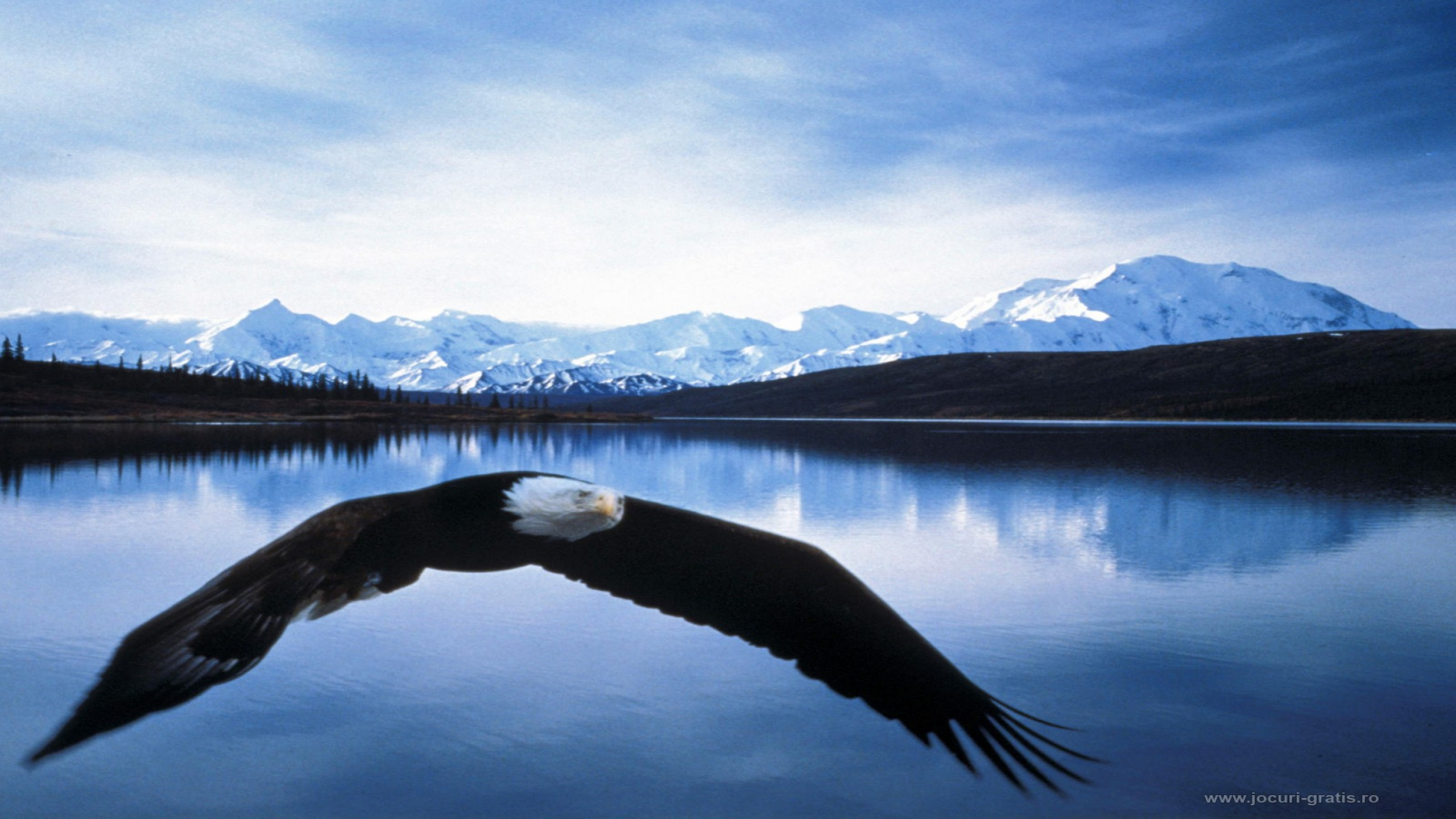 Download Wallpaper Gratis - HD Wallpaper 