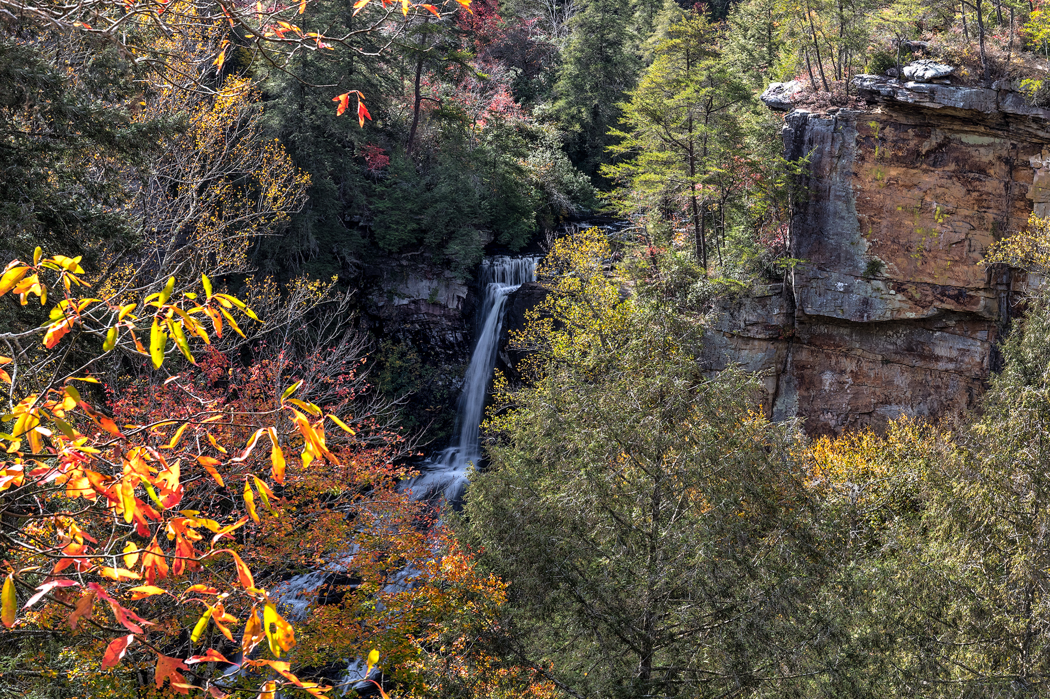 Autumn - HD Wallpaper 