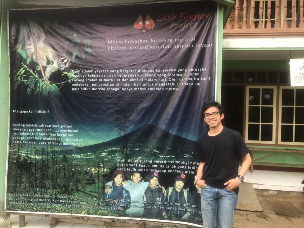 Flat Panel Display - HD Wallpaper 