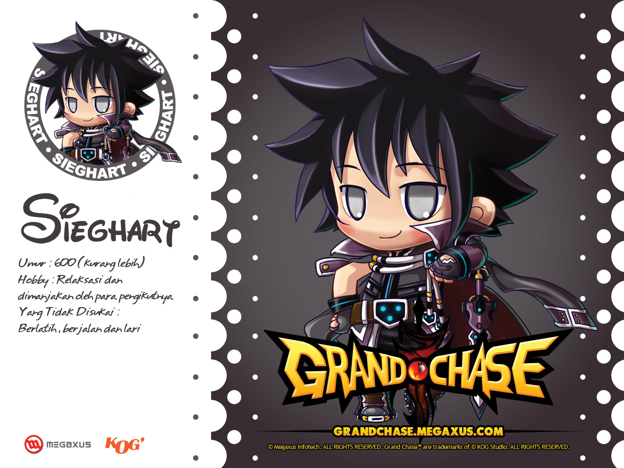 Grand Chase - Memes Grand Chase Sieg - HD Wallpaper 